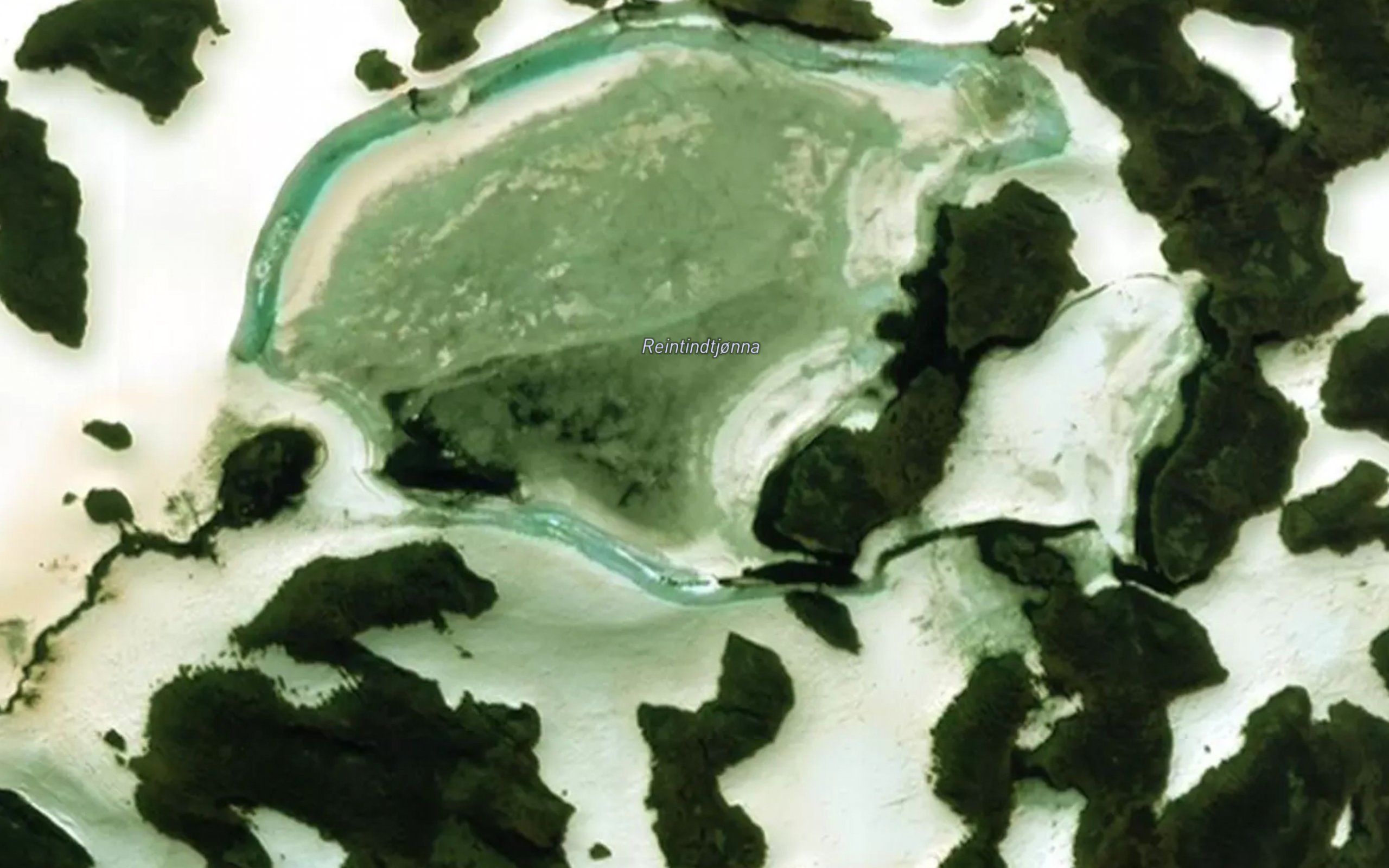 Reintindtjorna