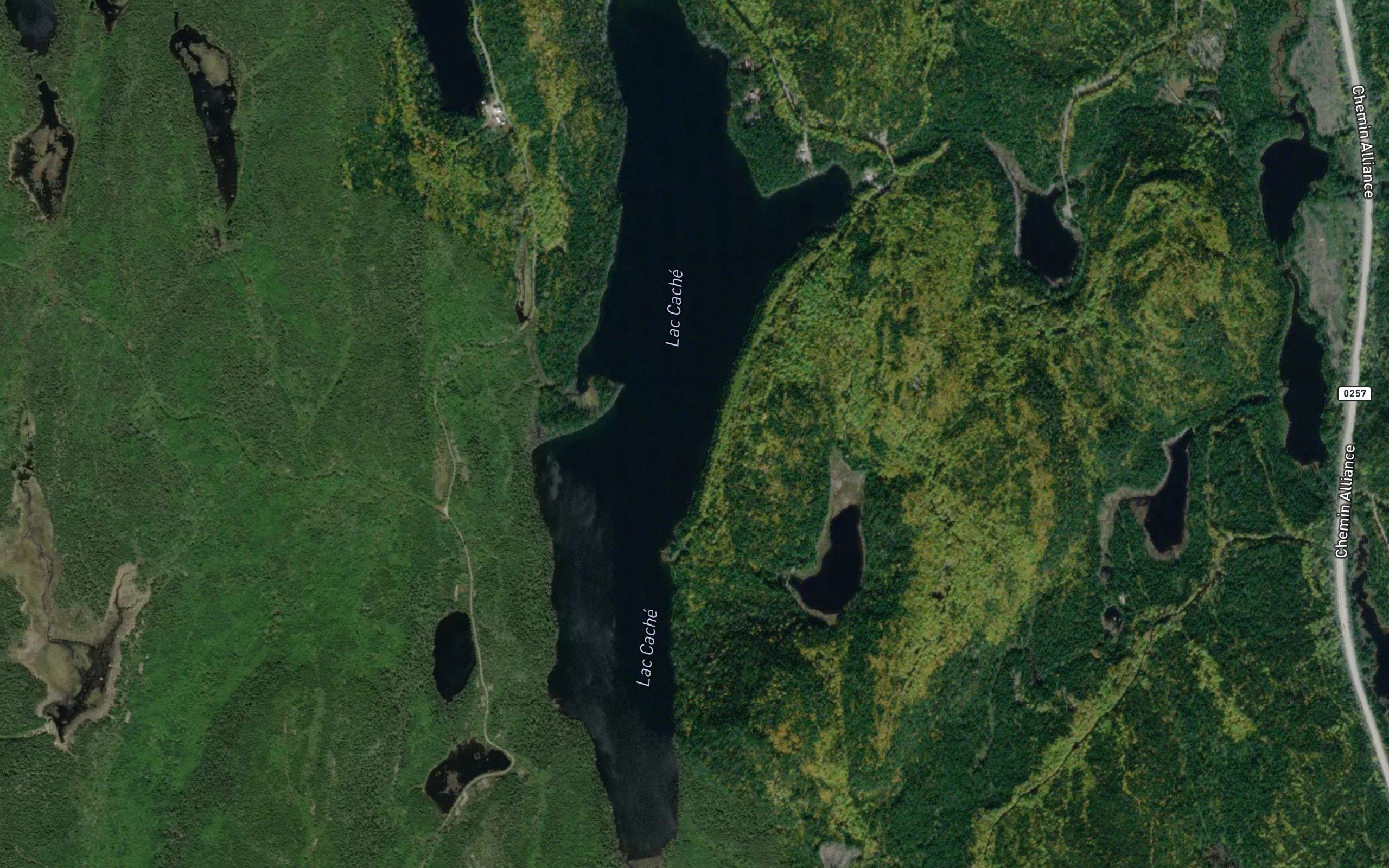Lac Cache