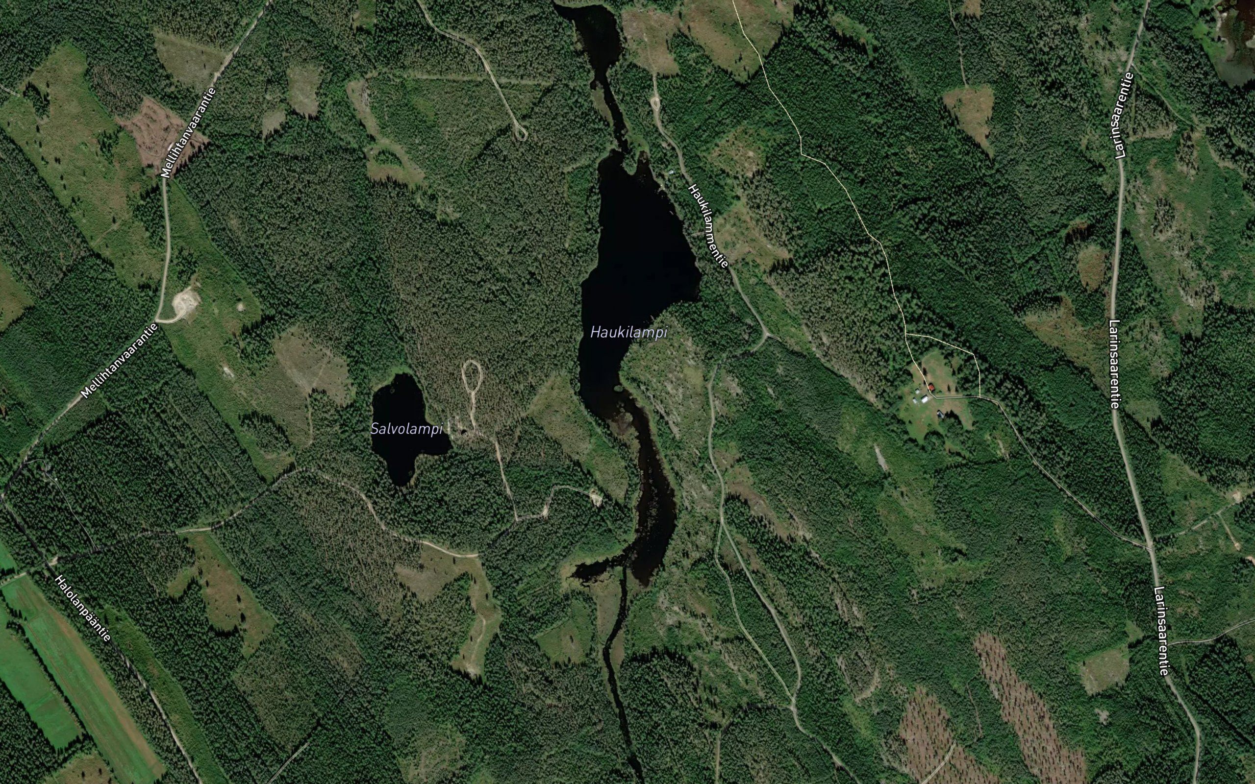 Haukilampi