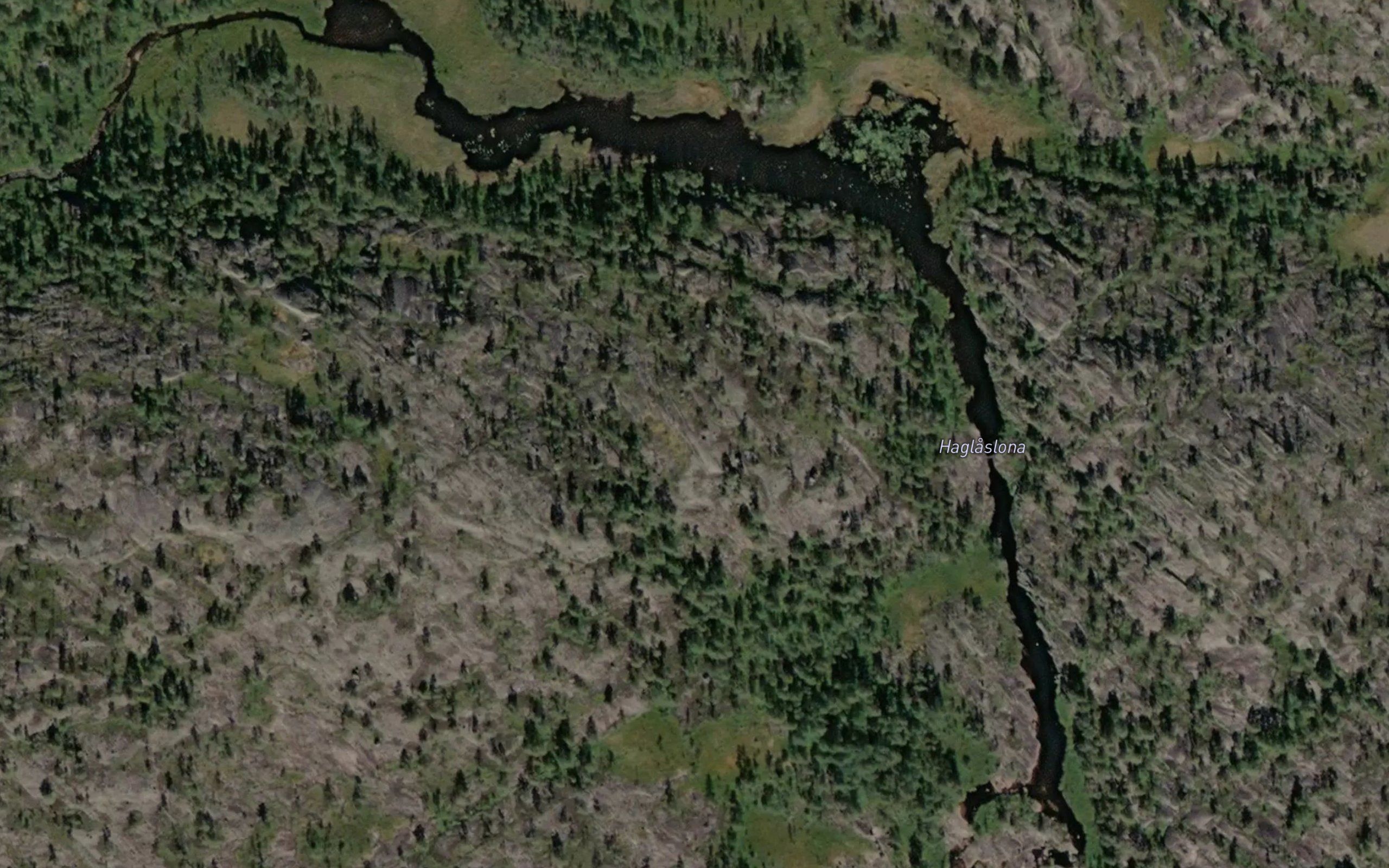 Haglaslona