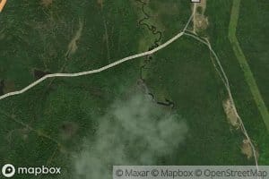 South Branch Medunkeunk Stream