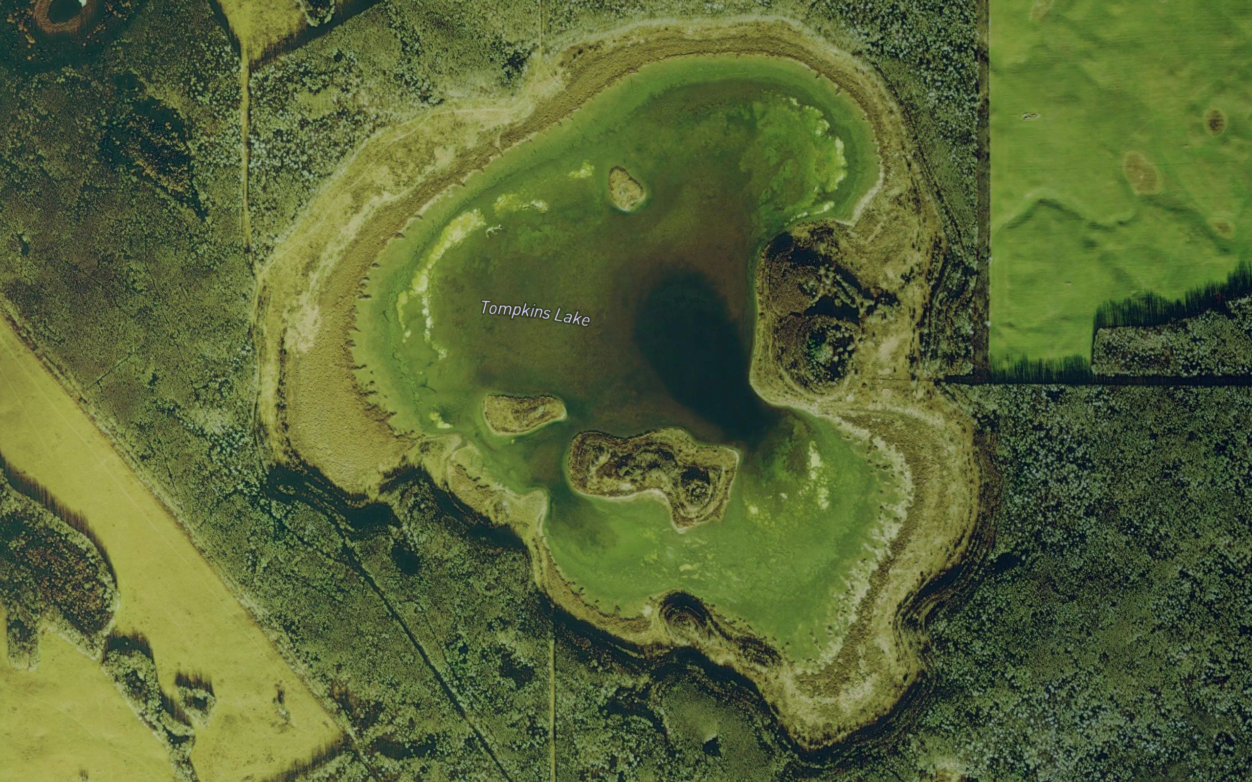 Tompkins Lake