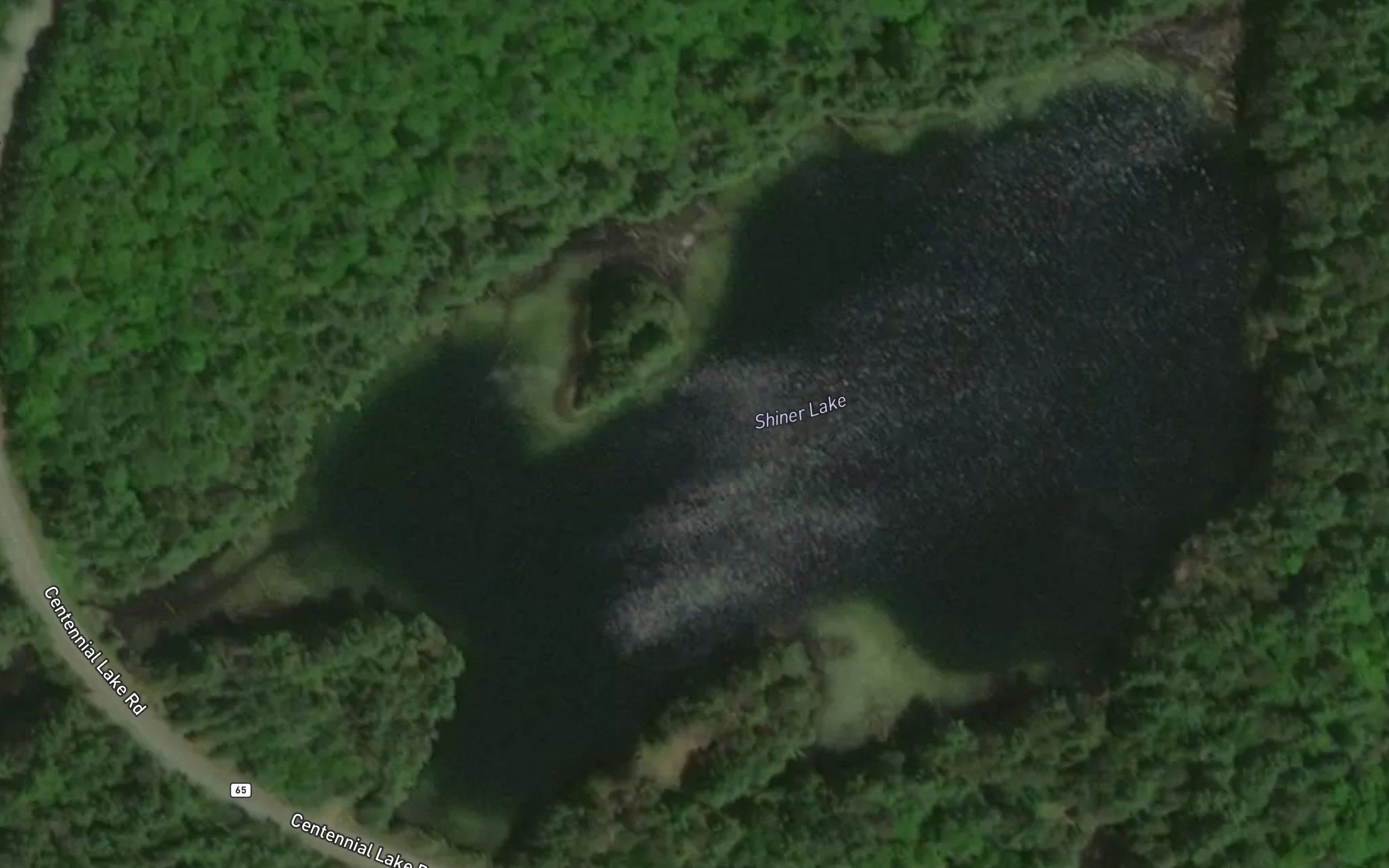 Shiner Lake