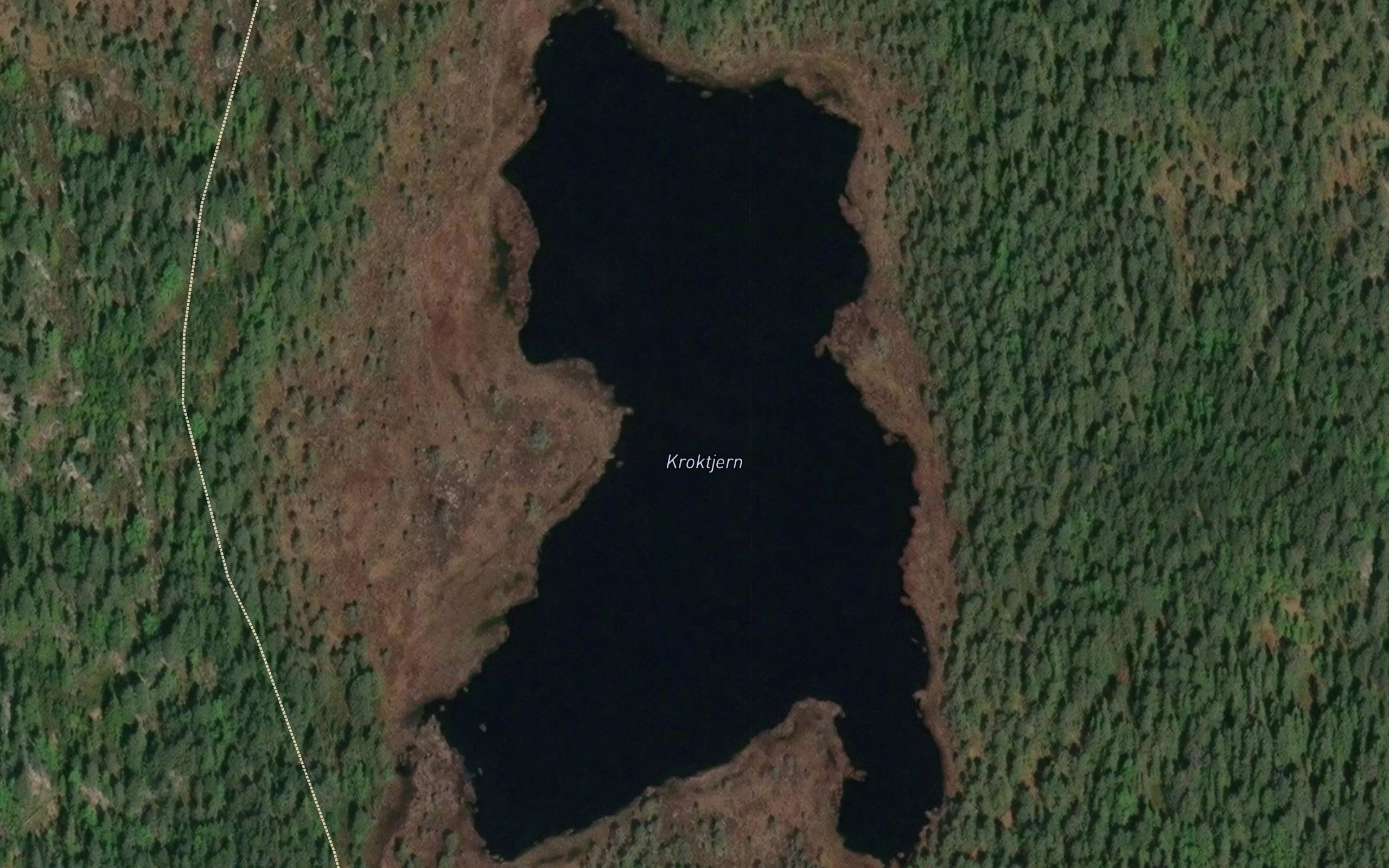 Kroktjern
