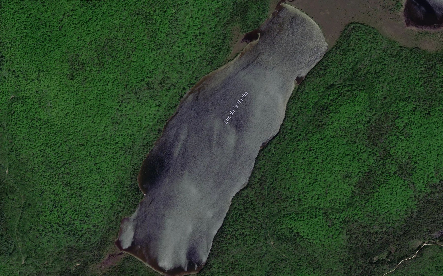 Satellite map of the Lac de la Hache