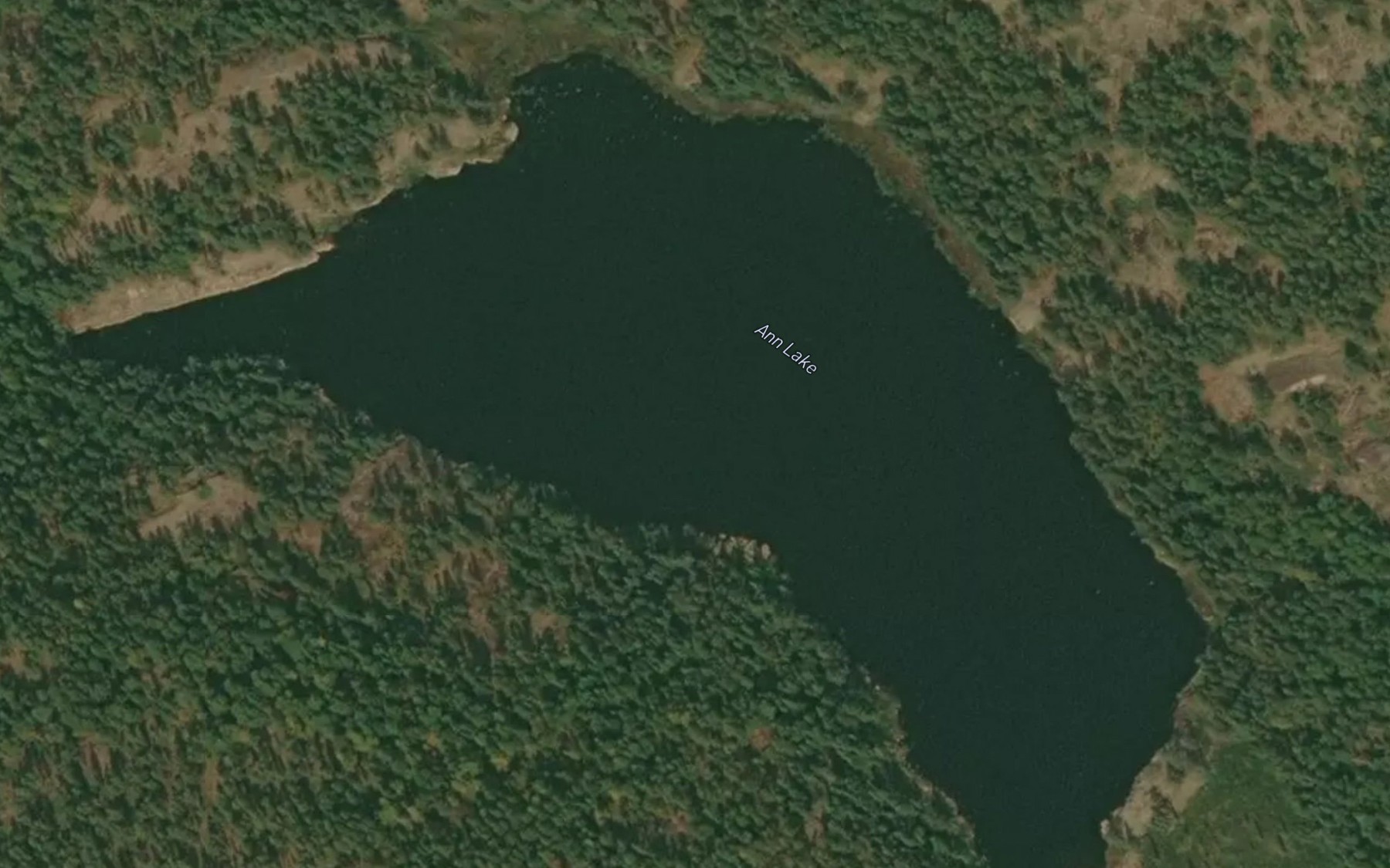 Satellite map of the Ann Lake