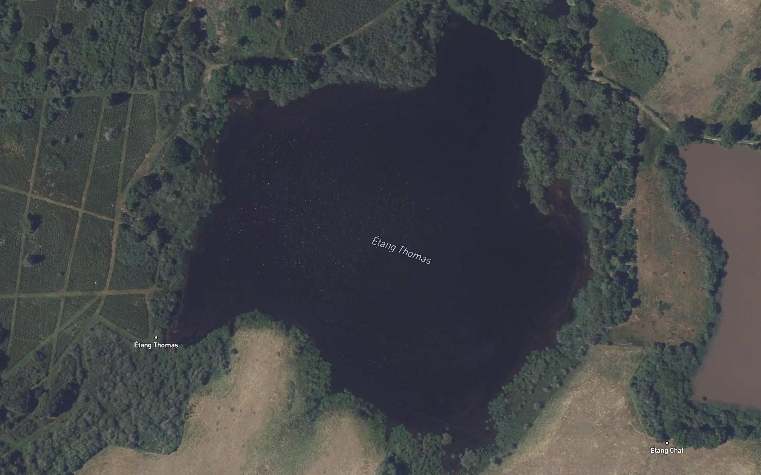 Etang Thomas