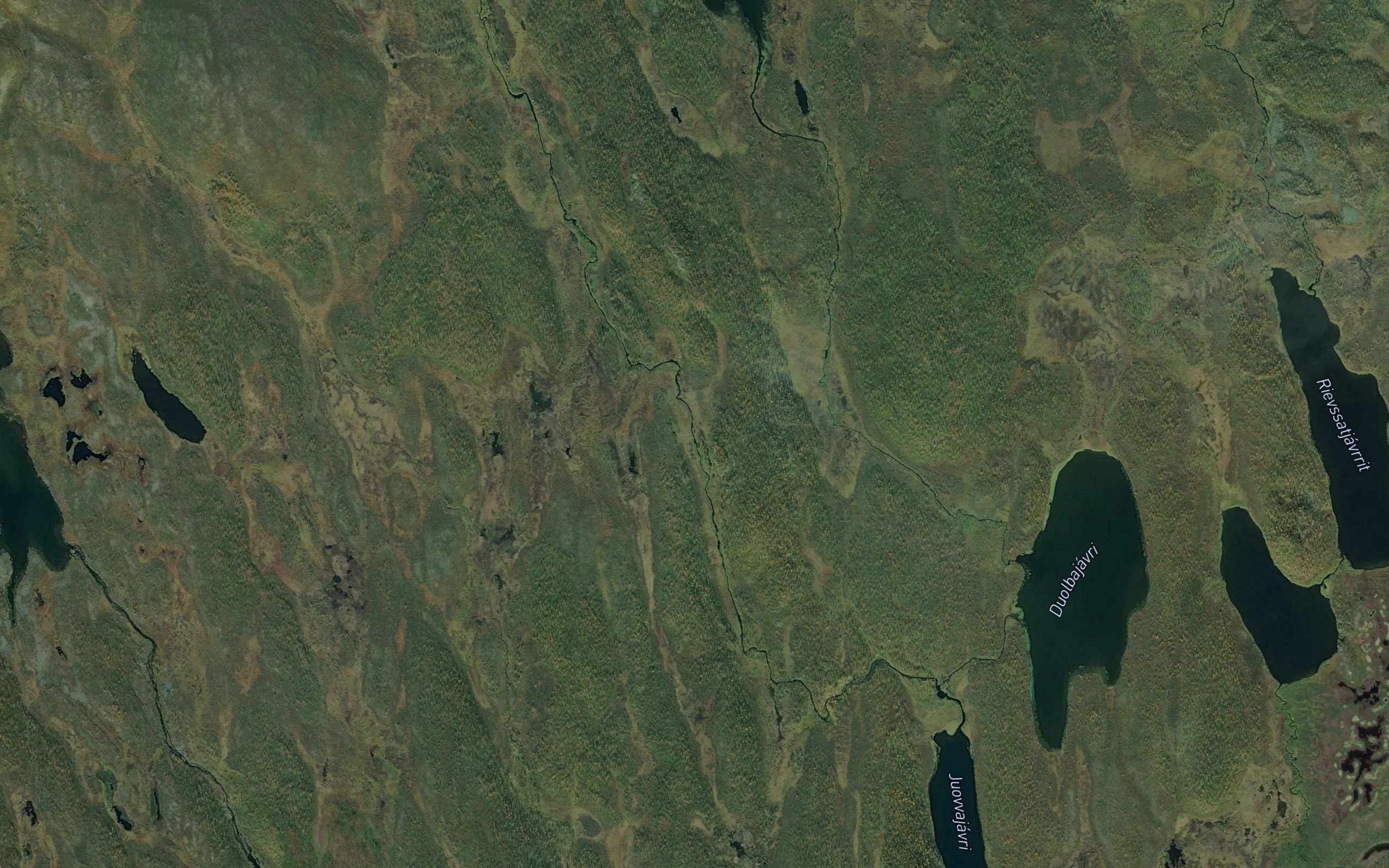 Laevsajakka