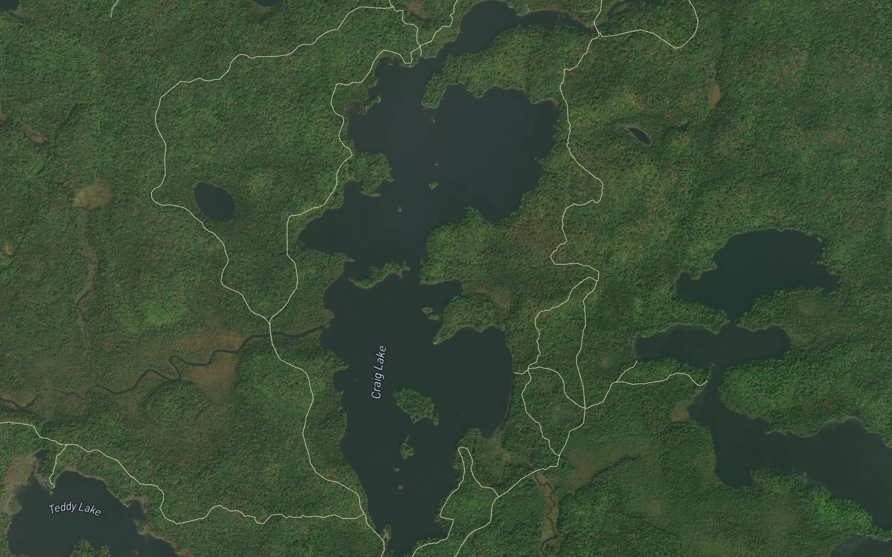 Satellite map of the Craig Lake
