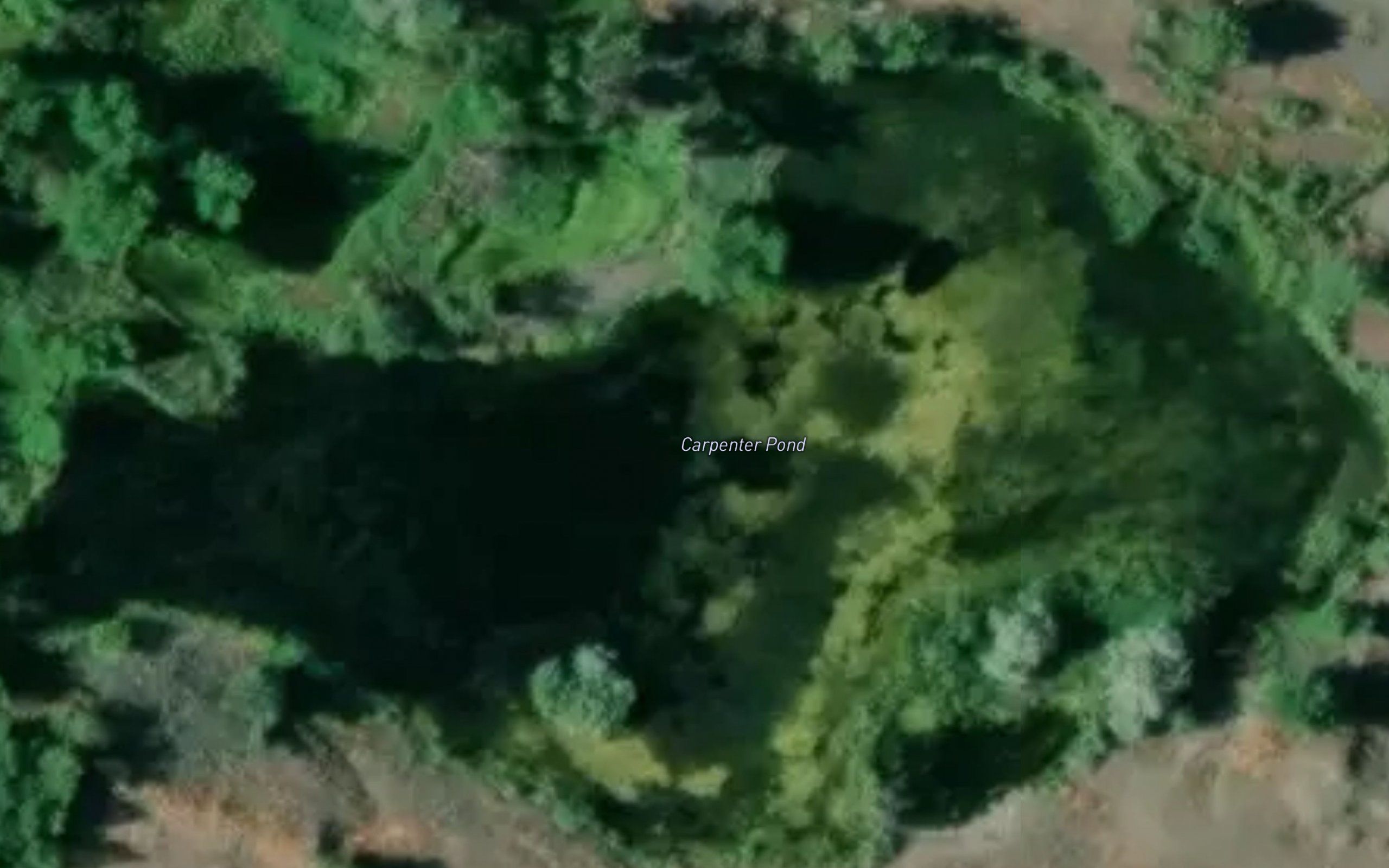 Carpenter Pond