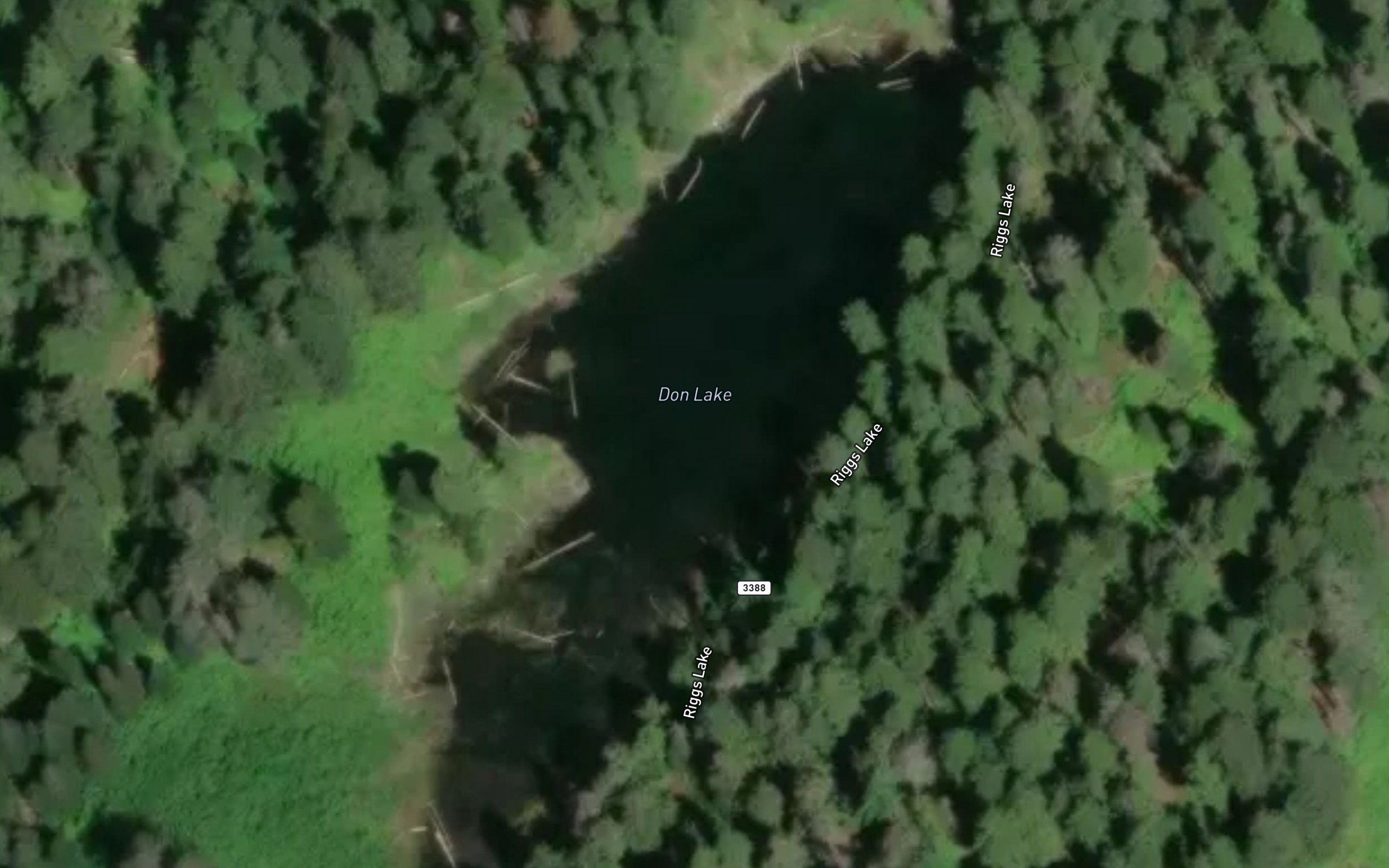 Don Lake