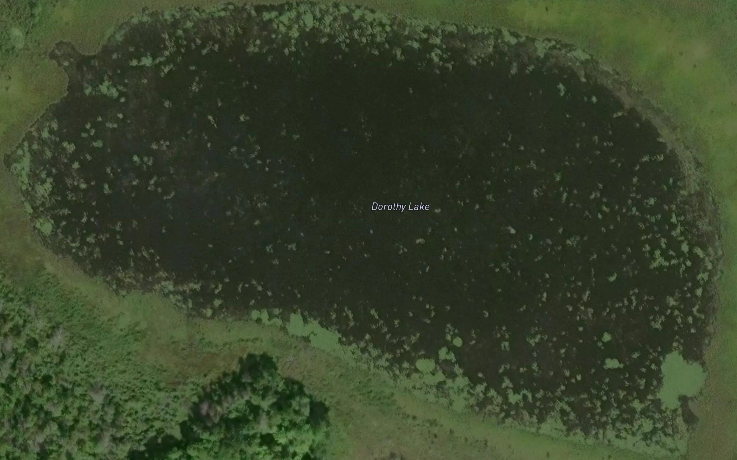 Dorothy Lake