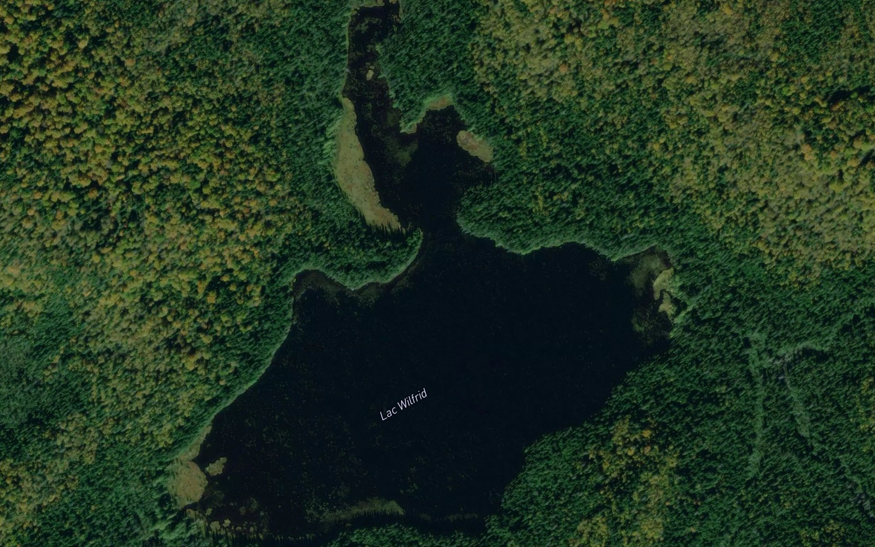 Satellite map of the Lac Wilfrid