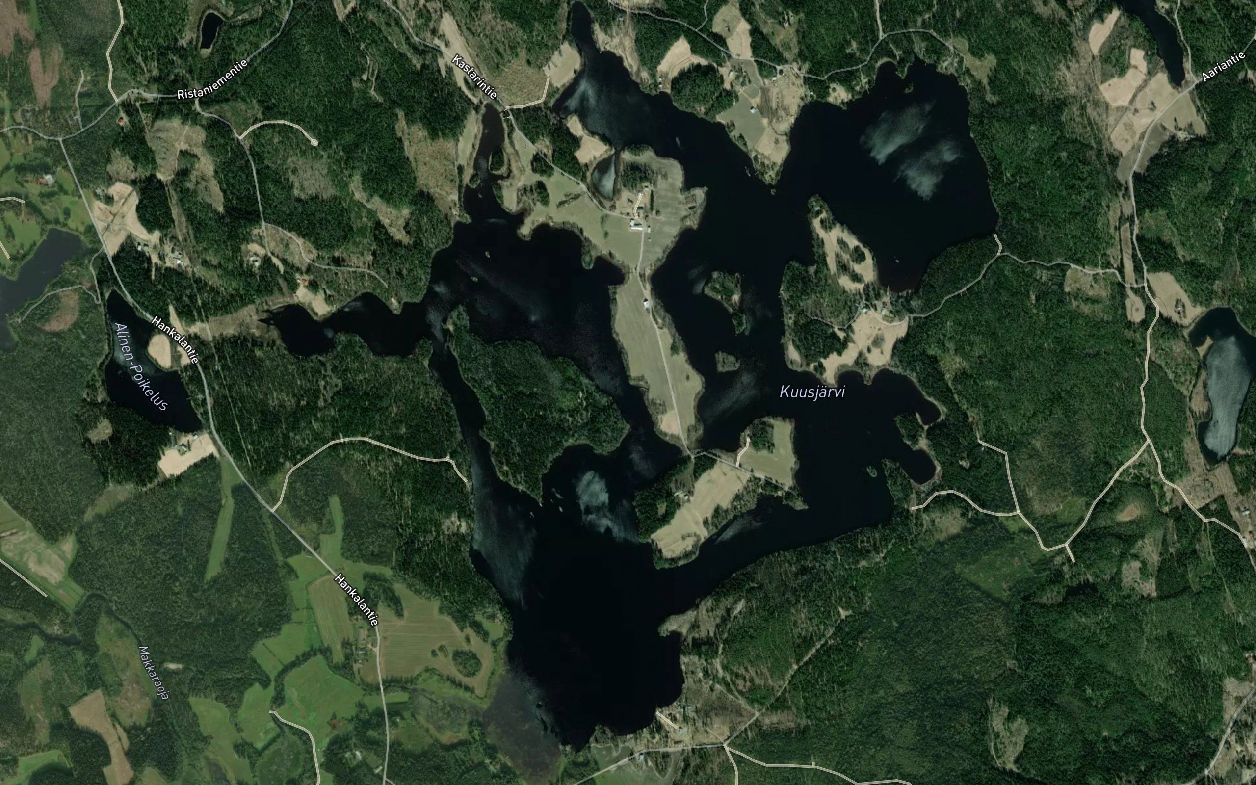 Pikkuniitynlahti