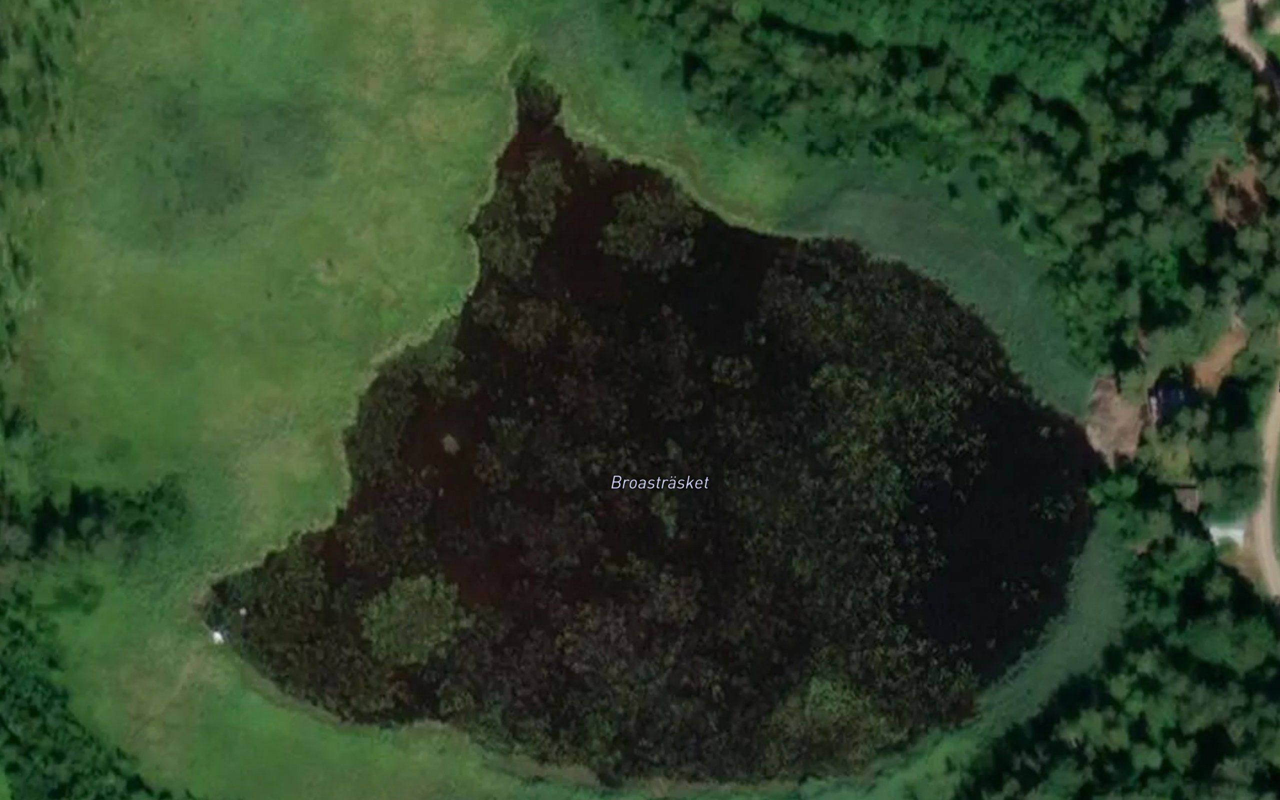 Broastrasket