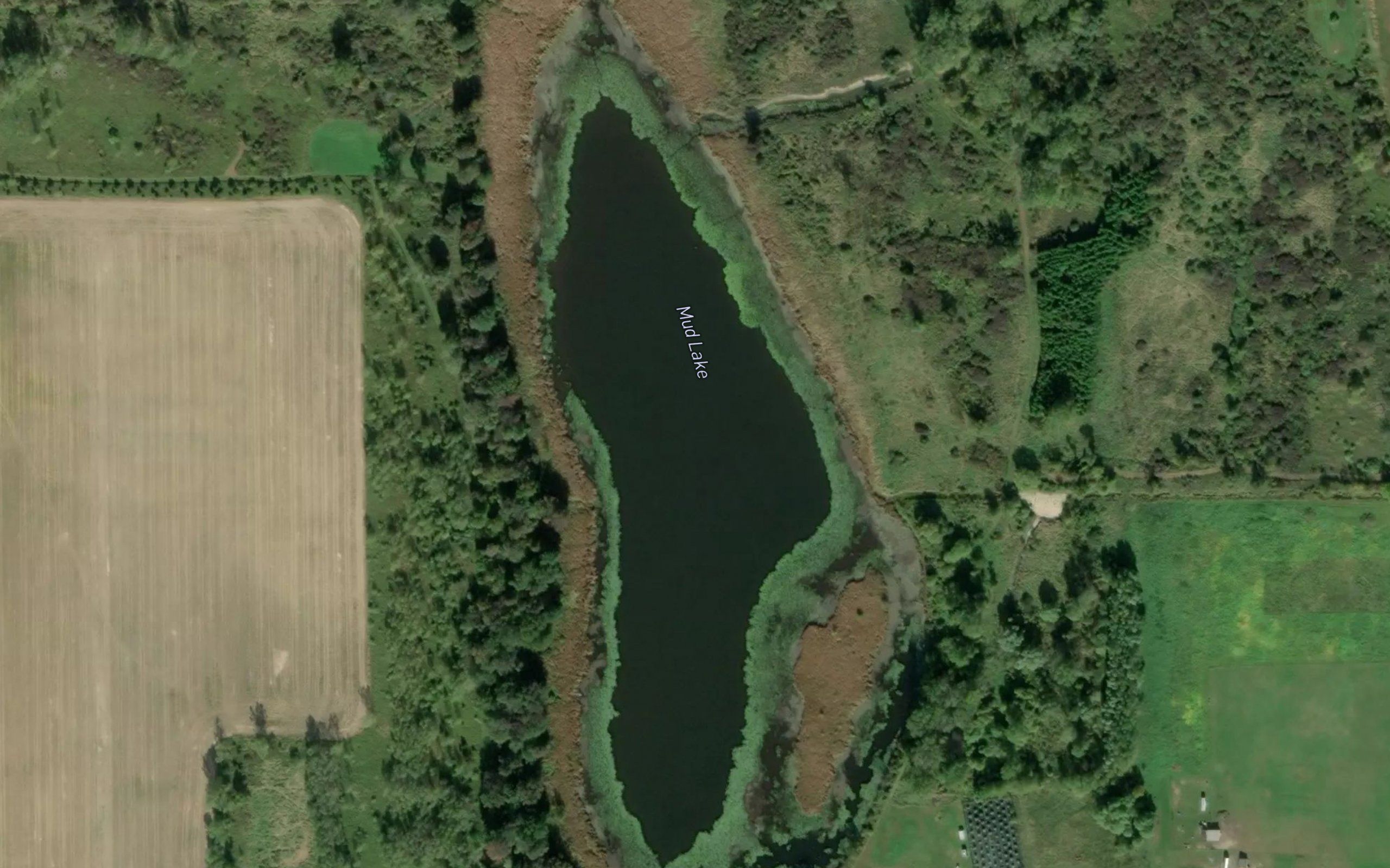 Mud Lake