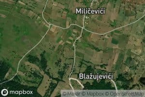 Vrbljelo