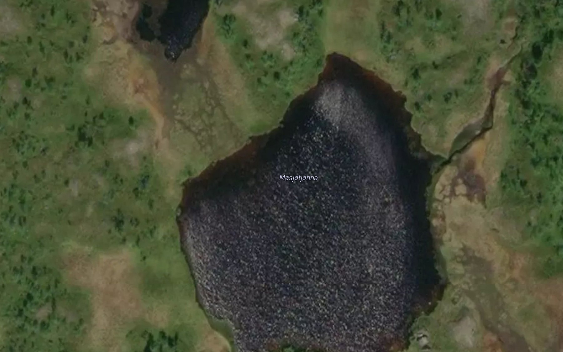 Satellite map of the Mosjotjorna