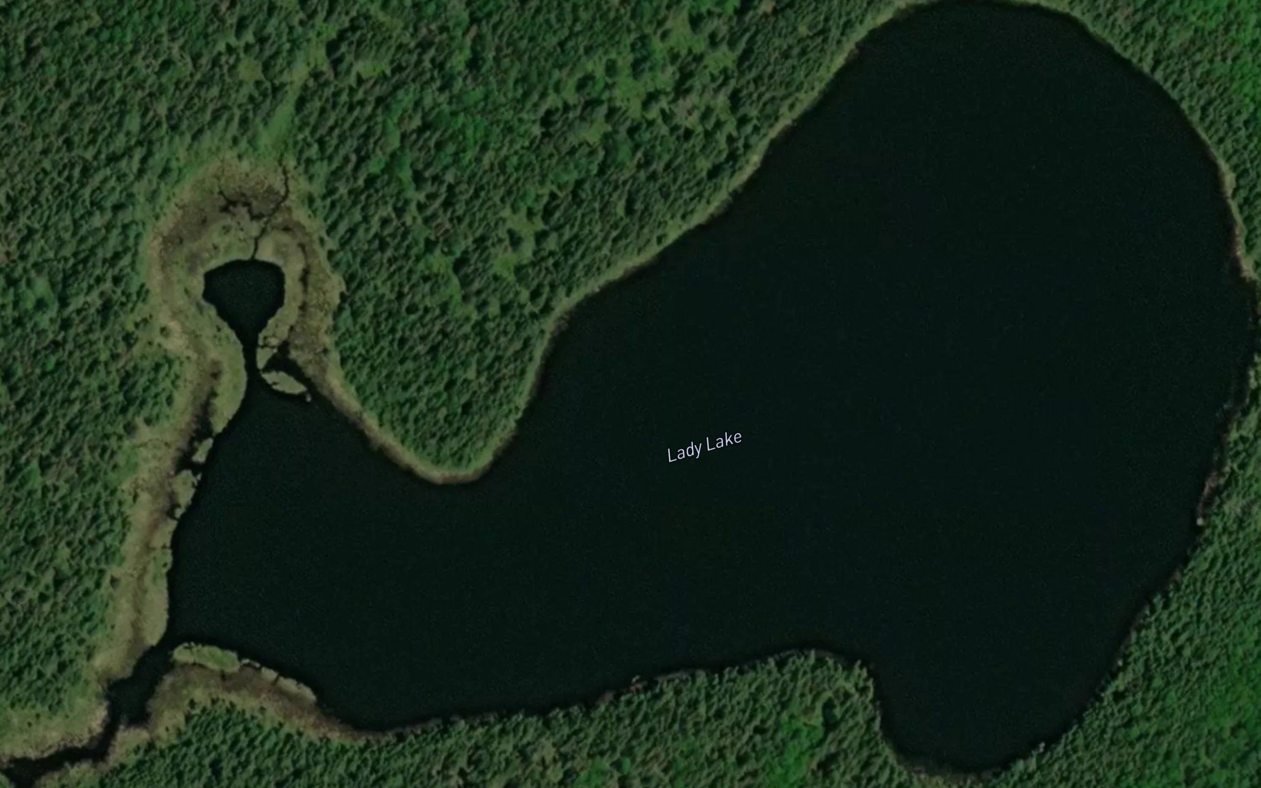 Lady Lake