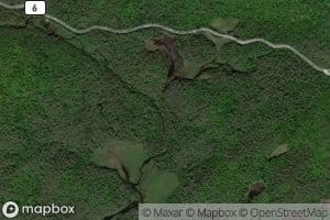 New Pond Brook