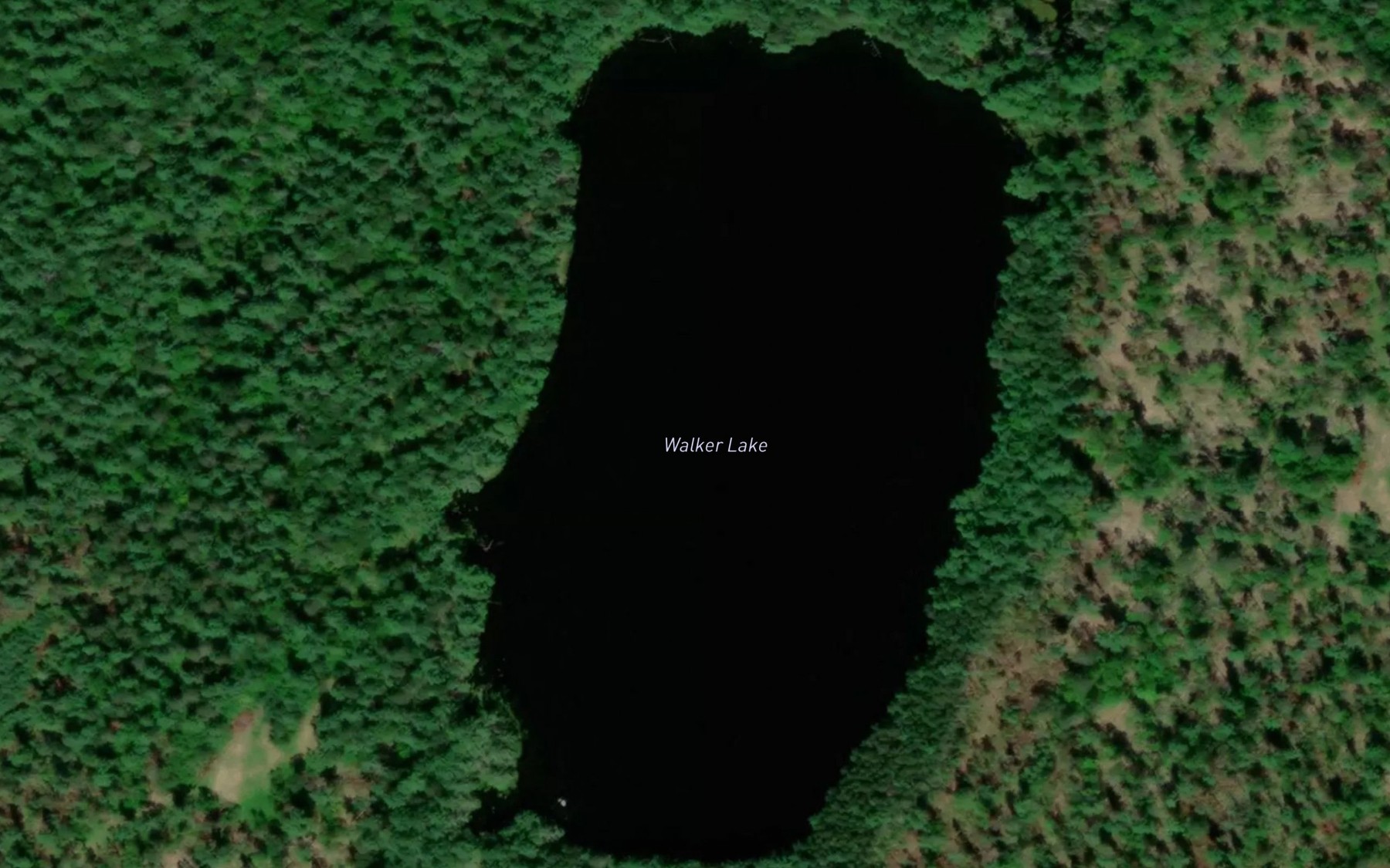 Satellite map of the Walker Lake