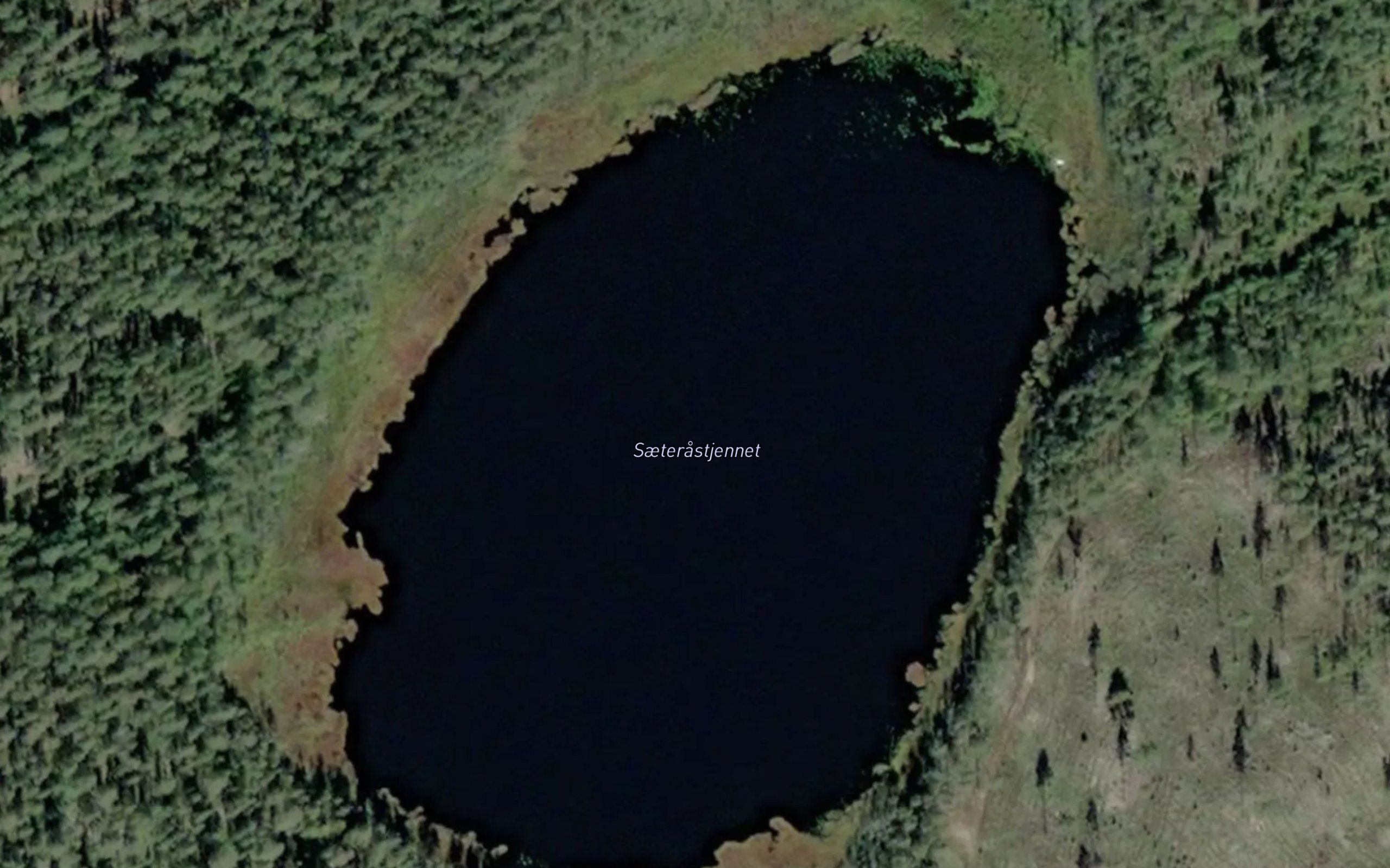 Saeterastjernet