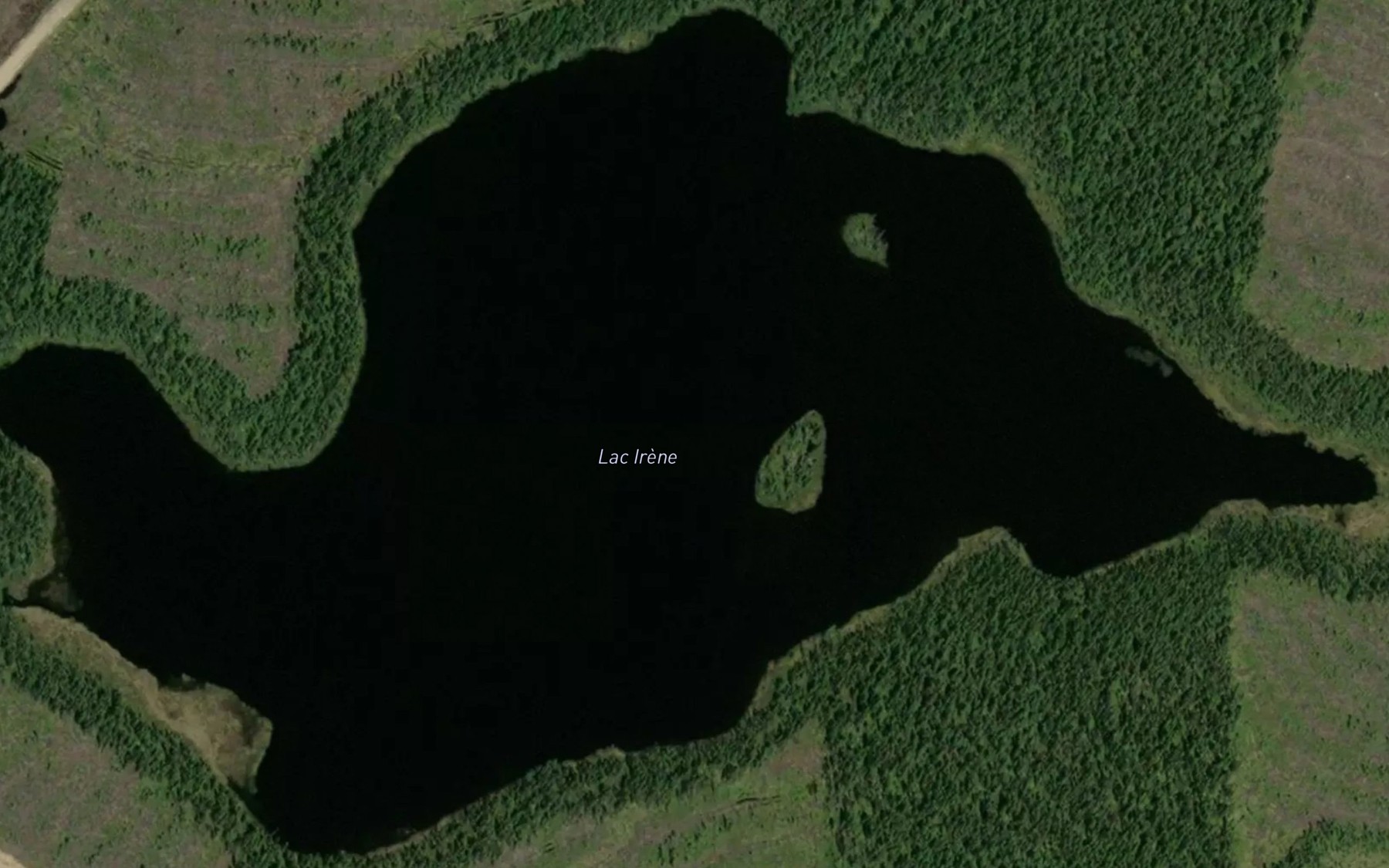 Satellite map of the Lac Irene