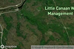 West Branch Weimer Run