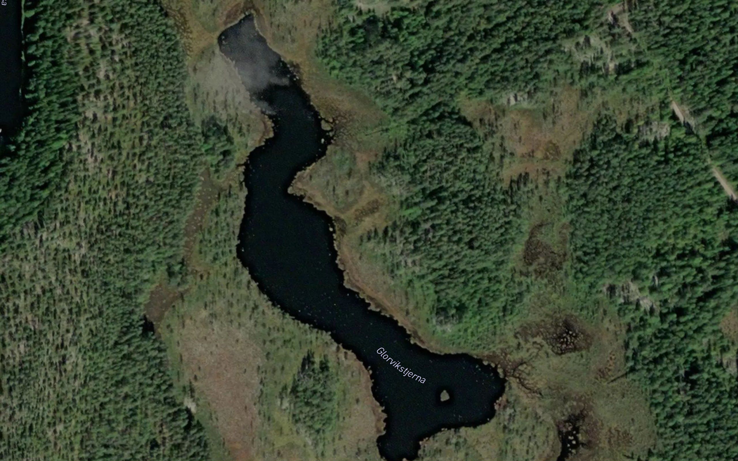 Glorvikstjerna