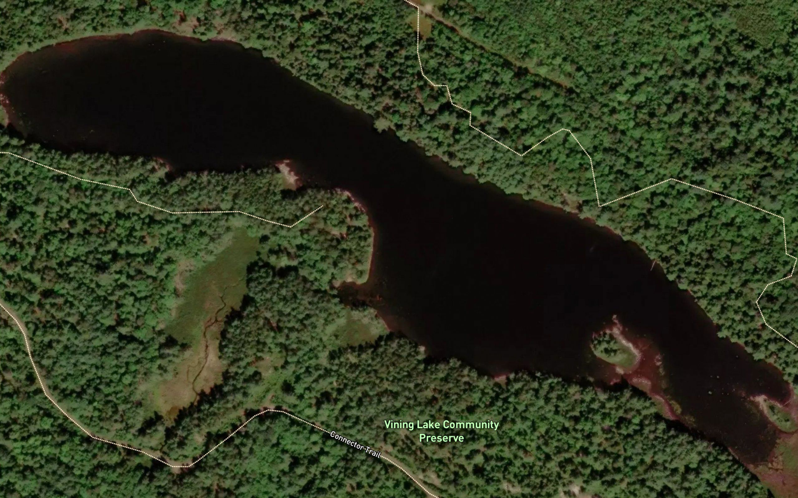 Vining Lake