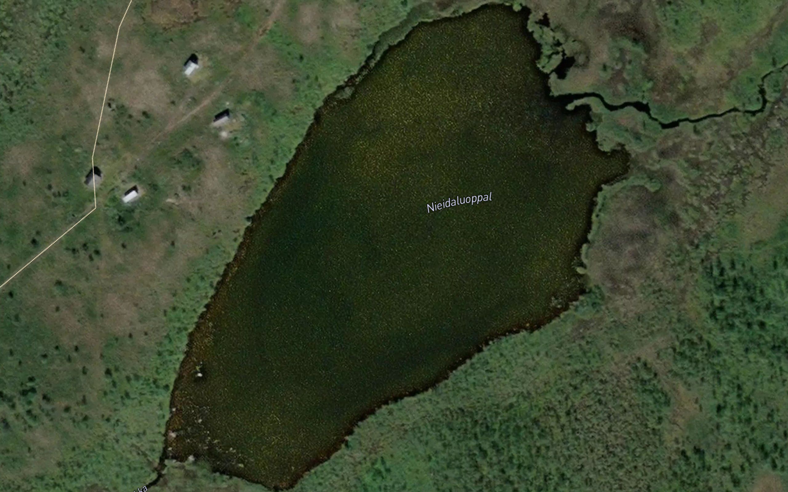 Nieidaluobbal