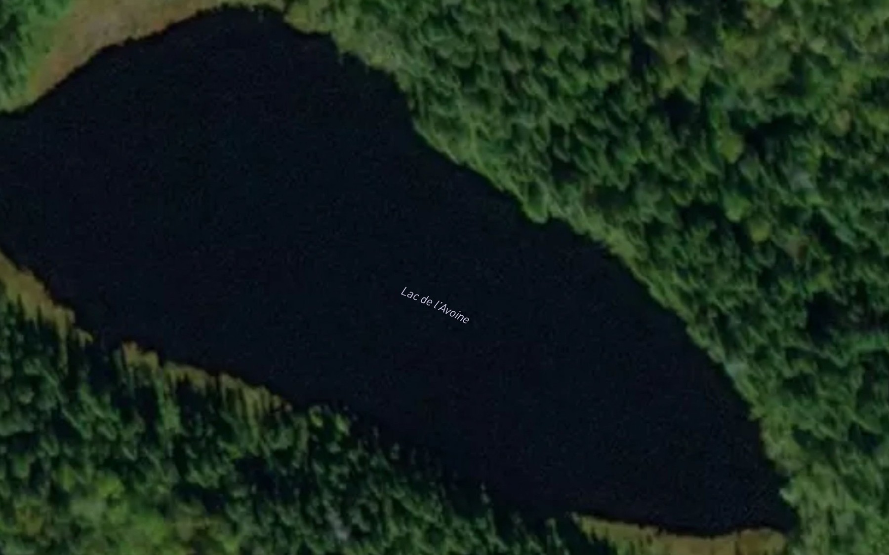 Satellite map of the Lac de l'Avoine
