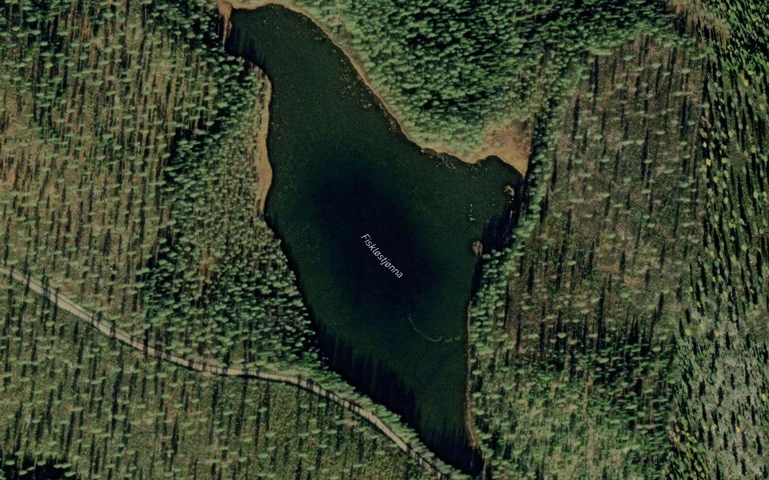 Fiskelostjorn