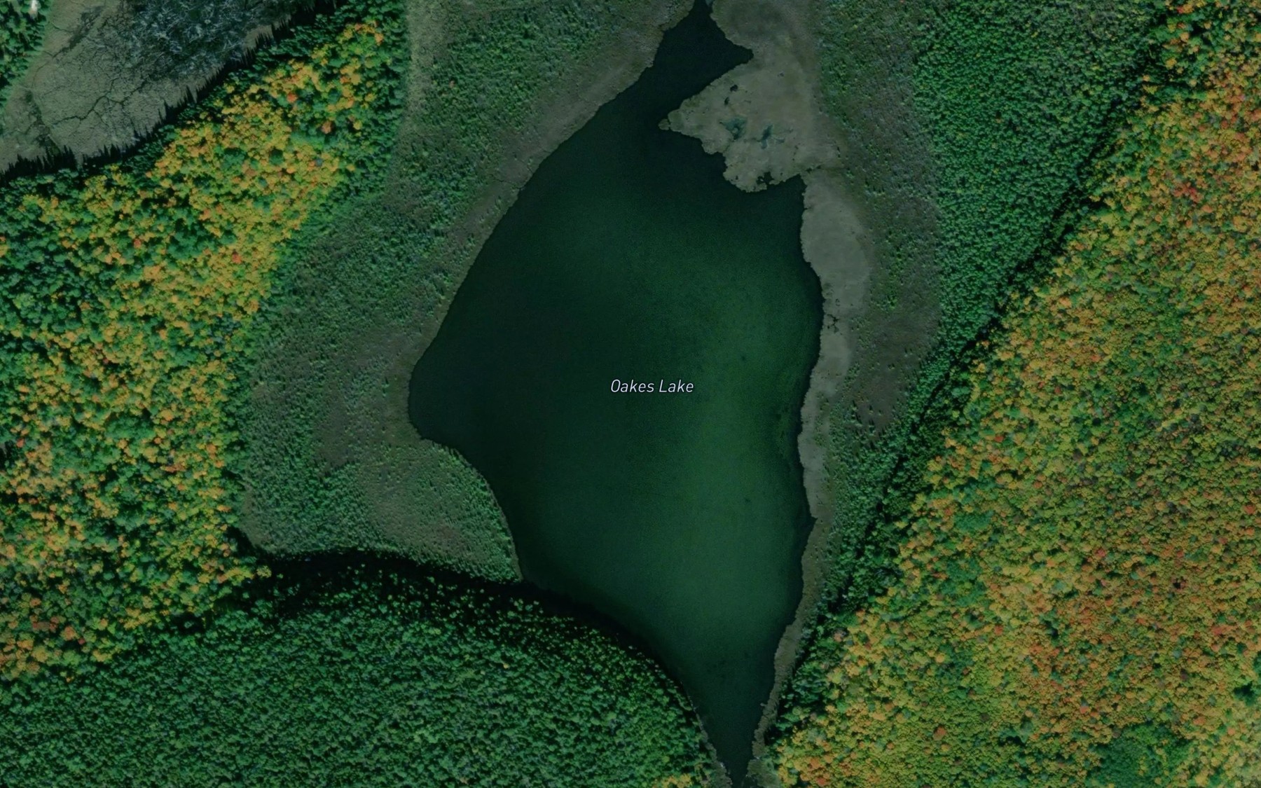Satellite map of the Oakes Lake