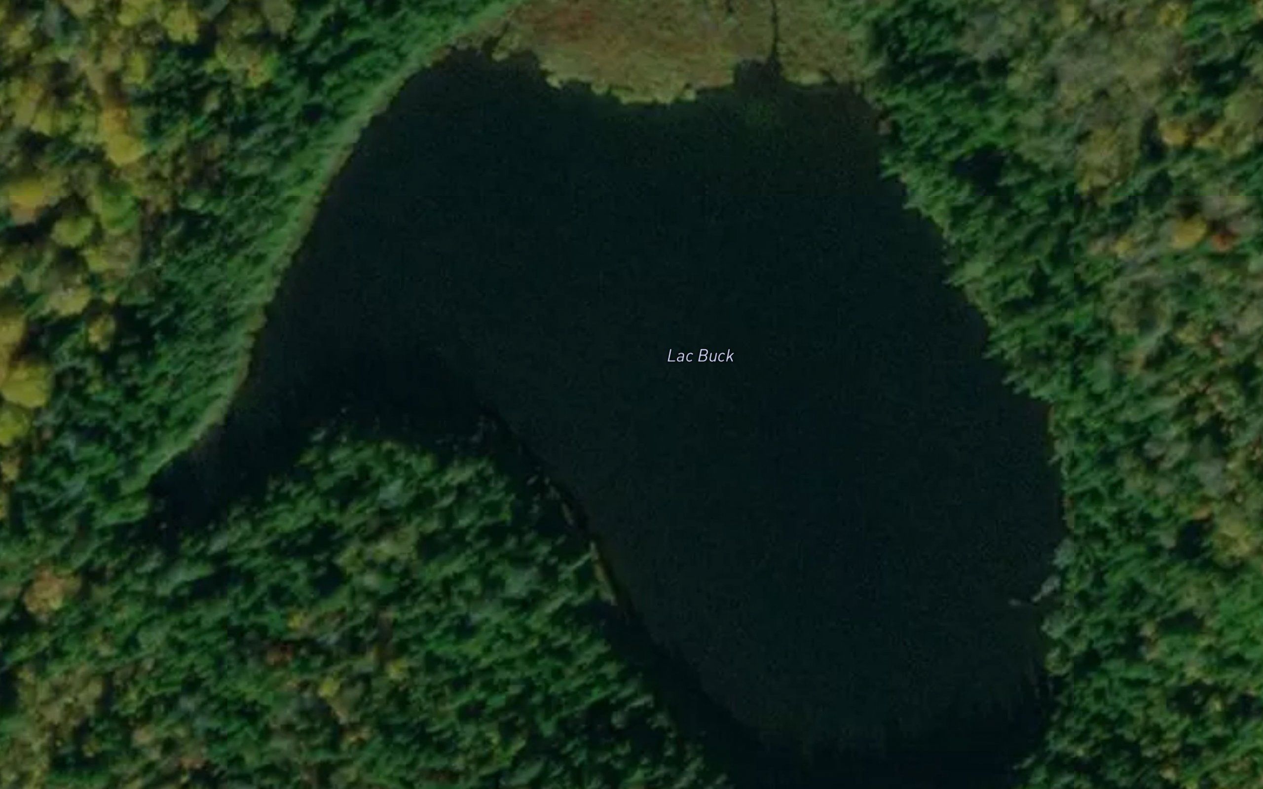 Lac Buck