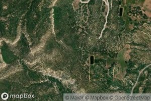 Bulloch Spring