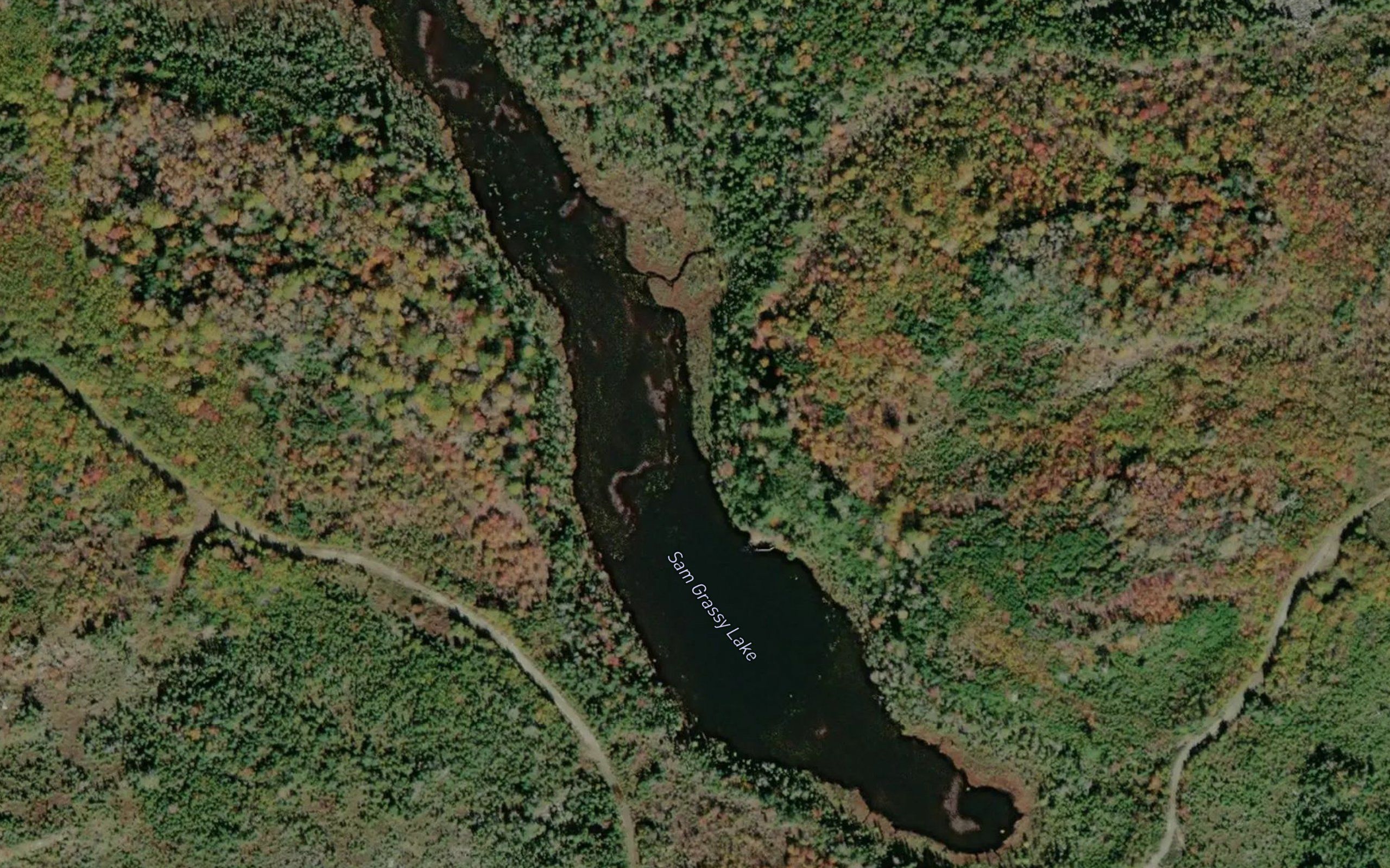 Sam Grassy Lake