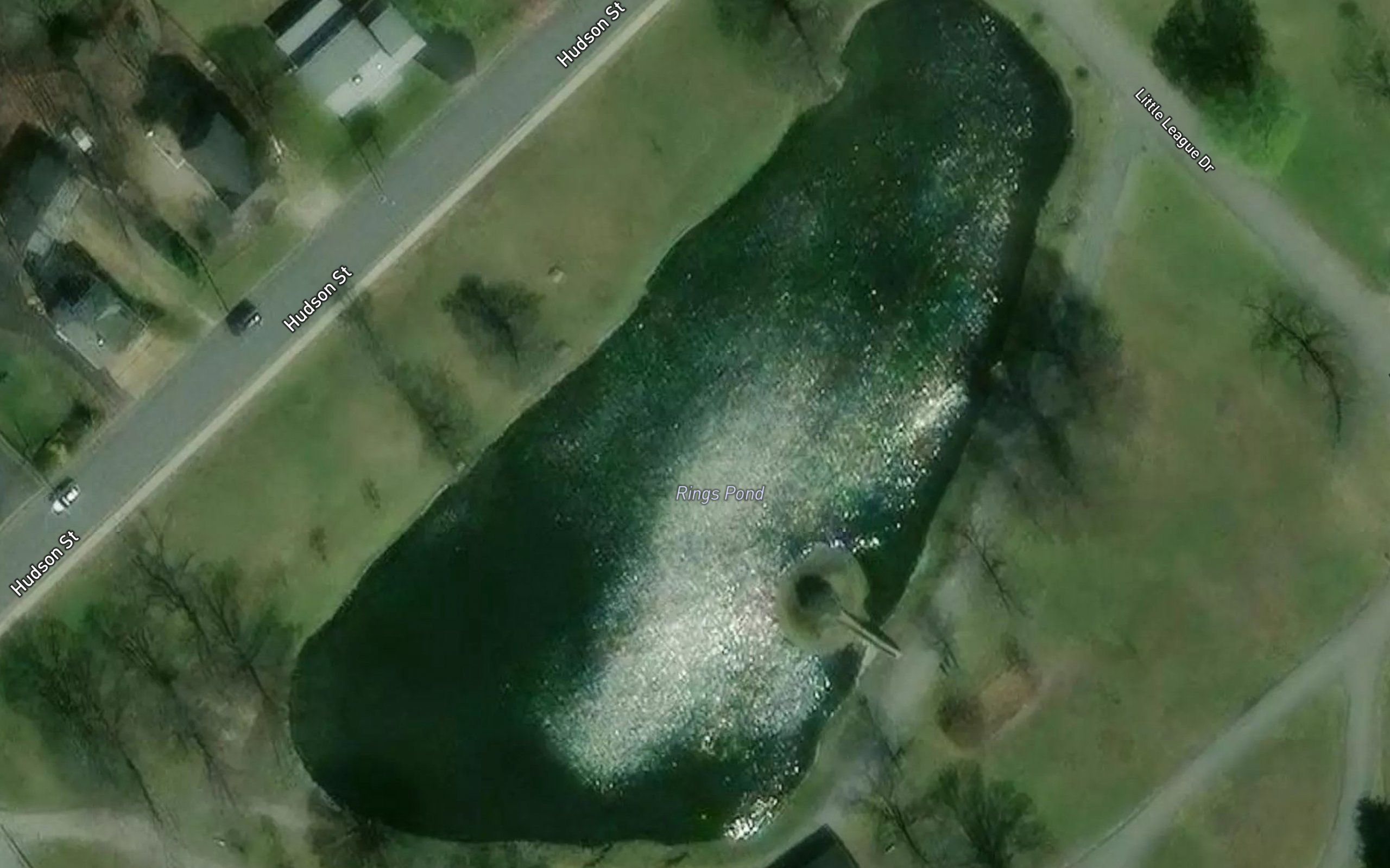 Rings Pond
