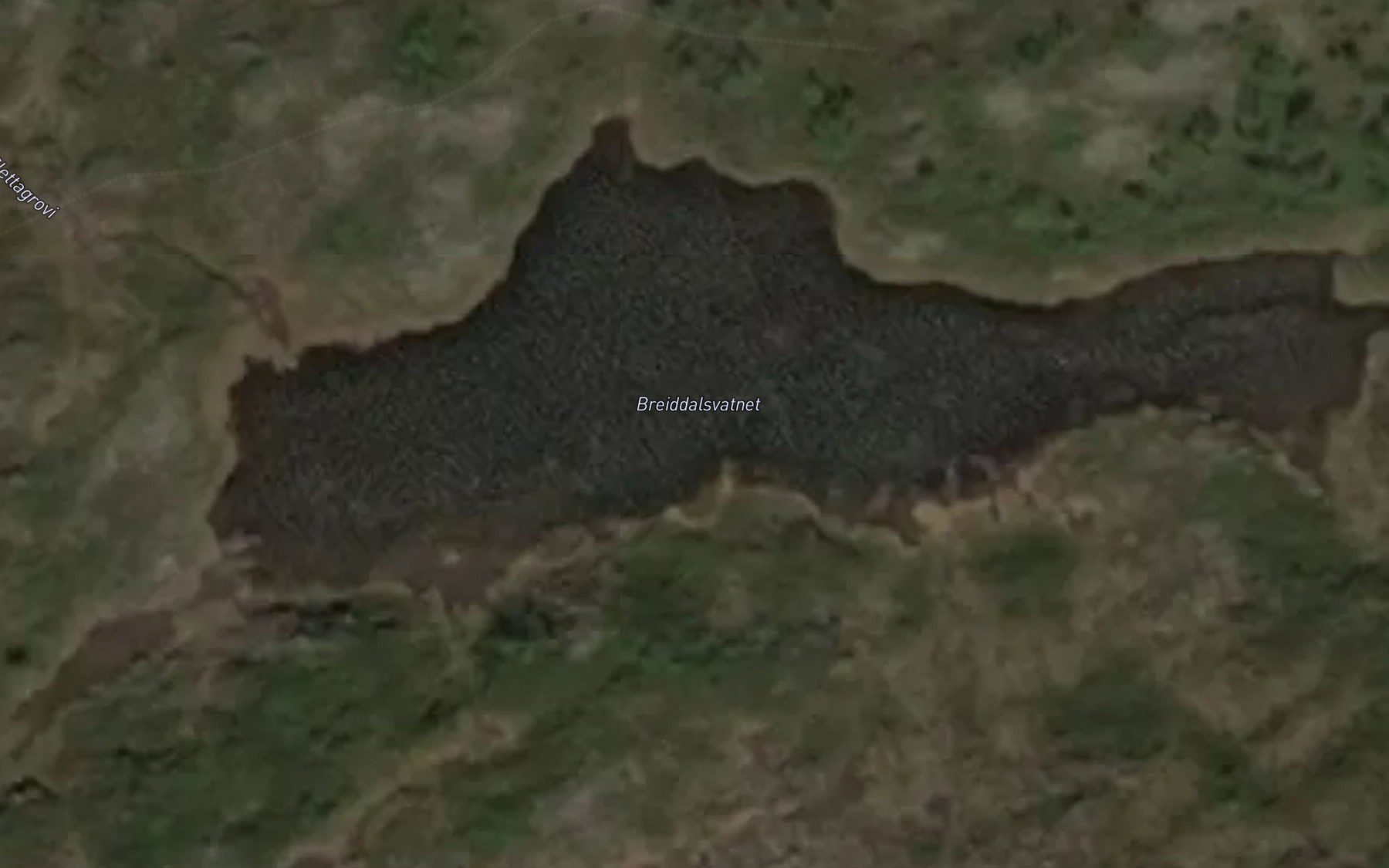 Satellite map of the Breiddalsvatnet