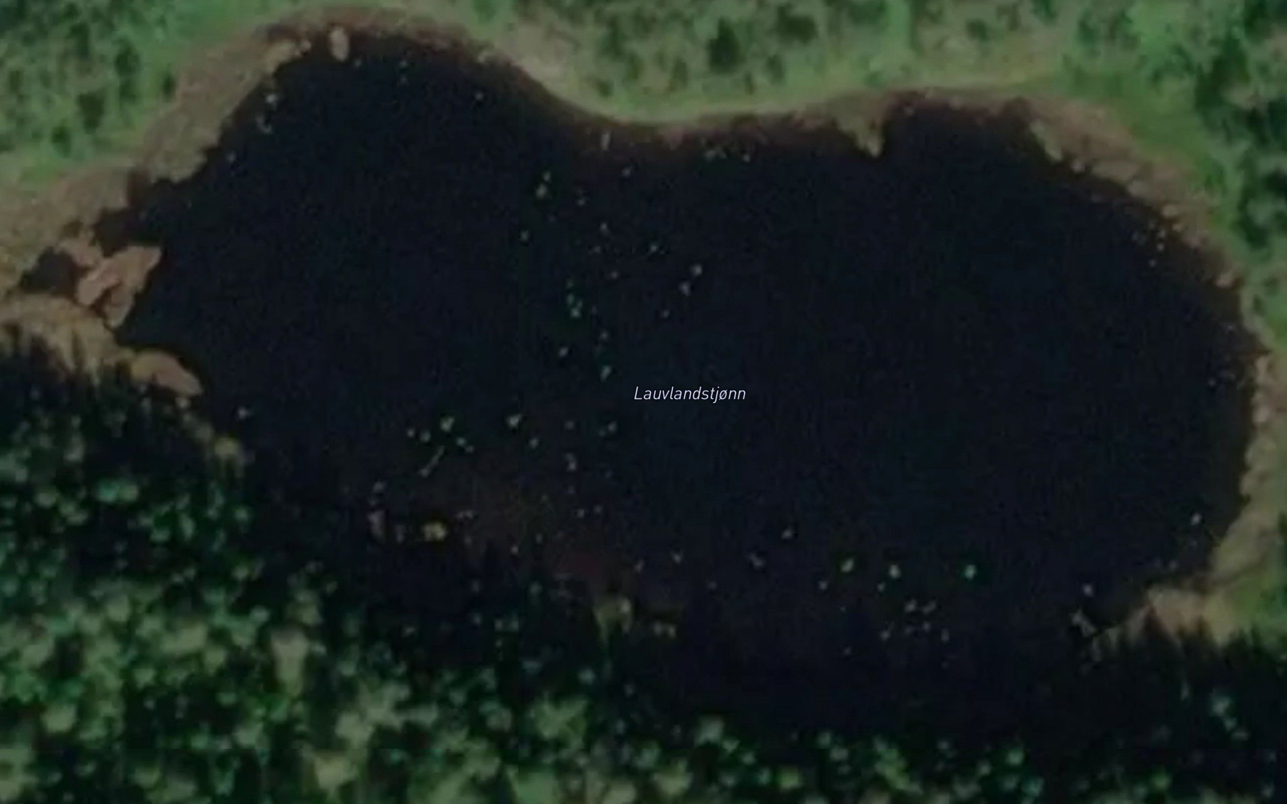 Lauvlandstjorn