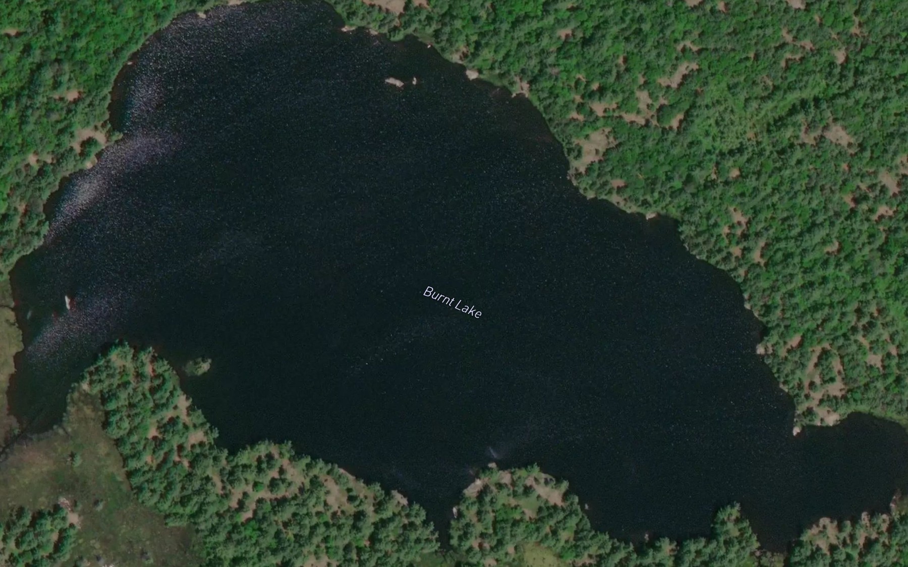 Satellite map of the Burnt Lake