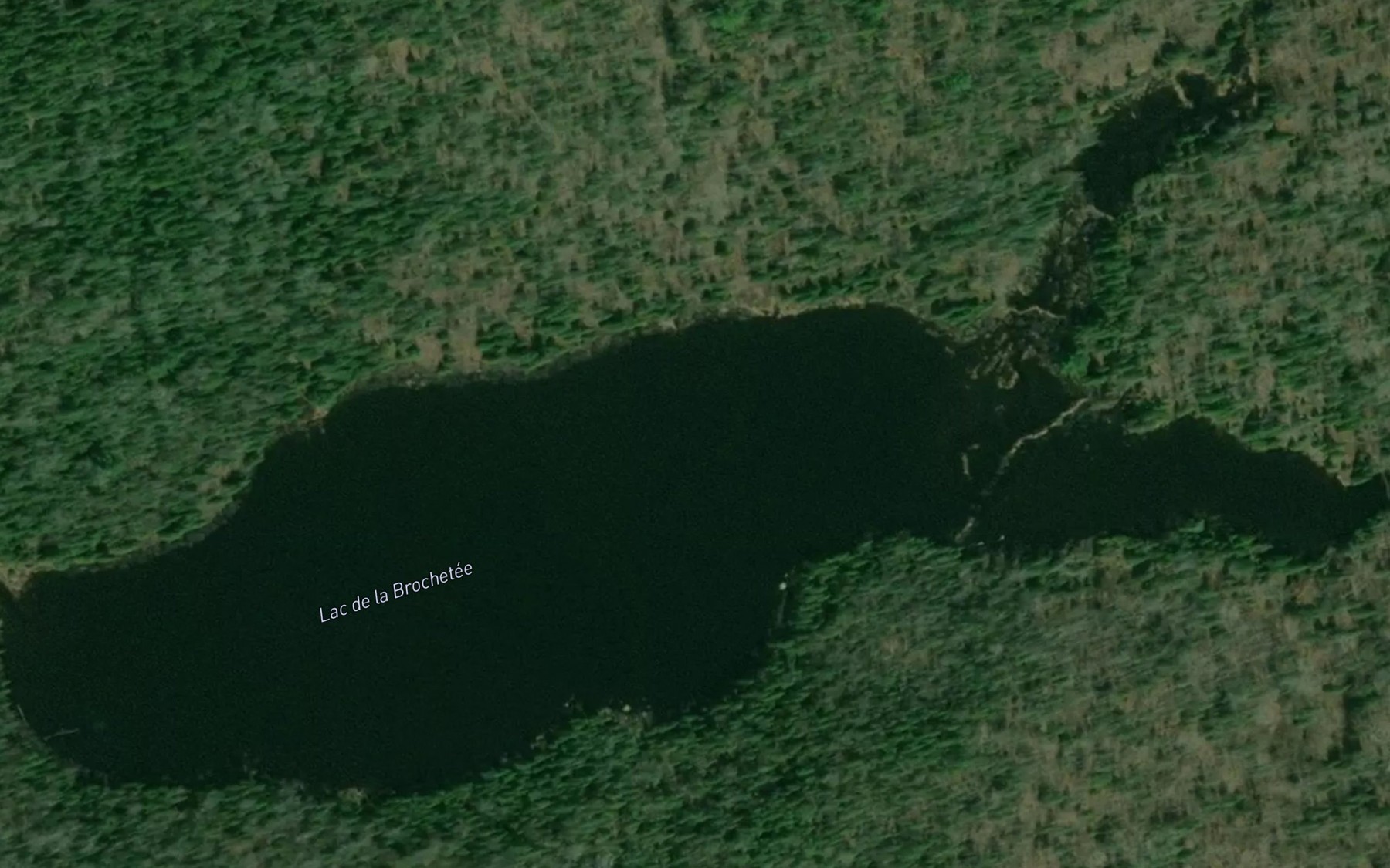 Satellite map of the Lac de la Brochetee