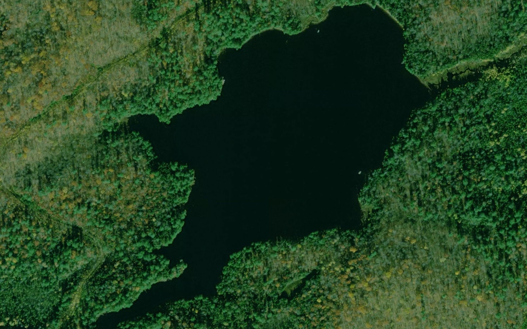 Satellite map of the Lac Saint-Amant