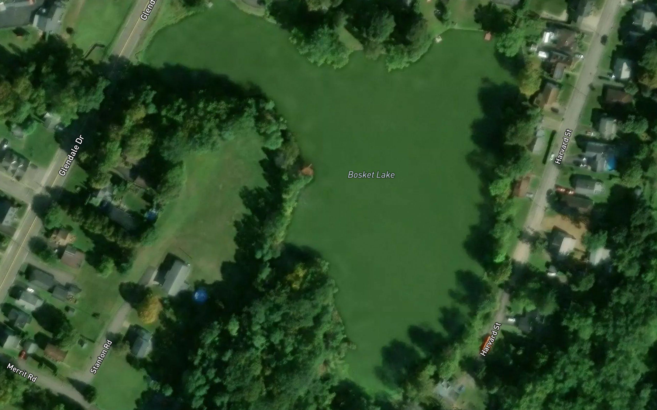Bosket Lake