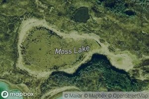 Moss Lake