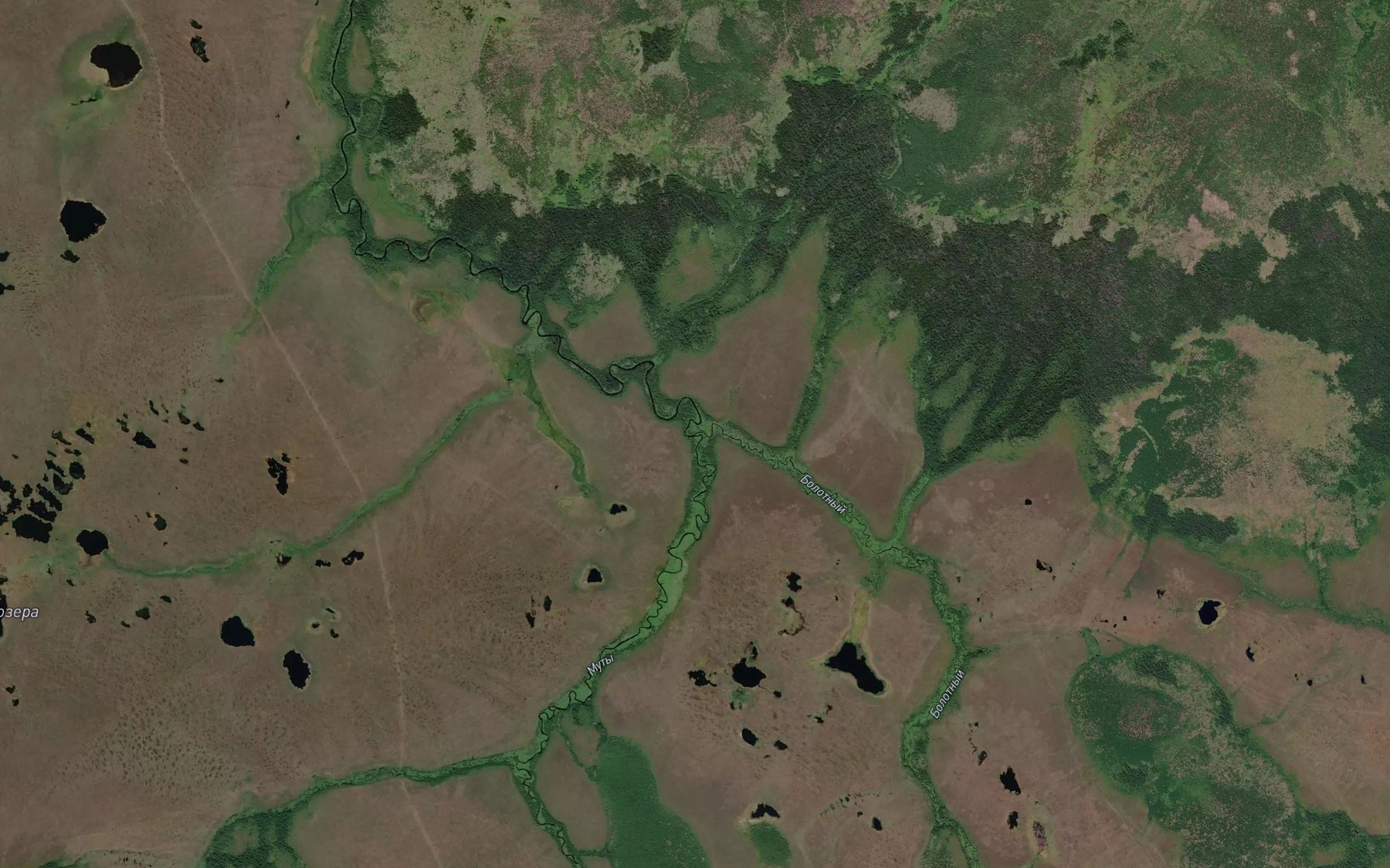 Satellite map of the Bolotnyy