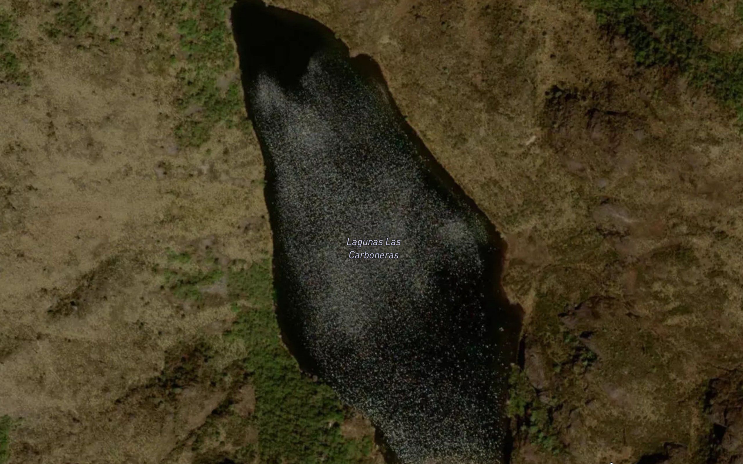 Laguna Venado Inferior