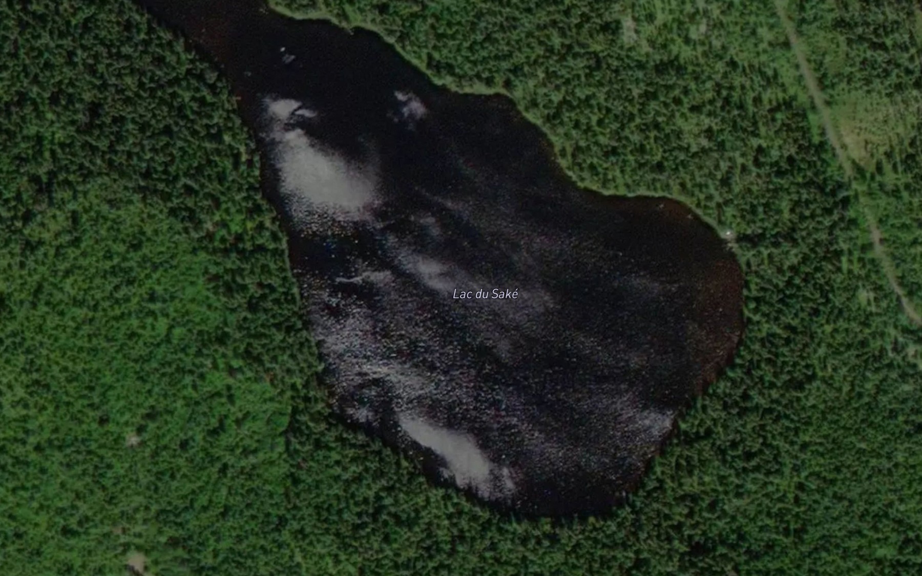 Satellite map of the Lac du Sake