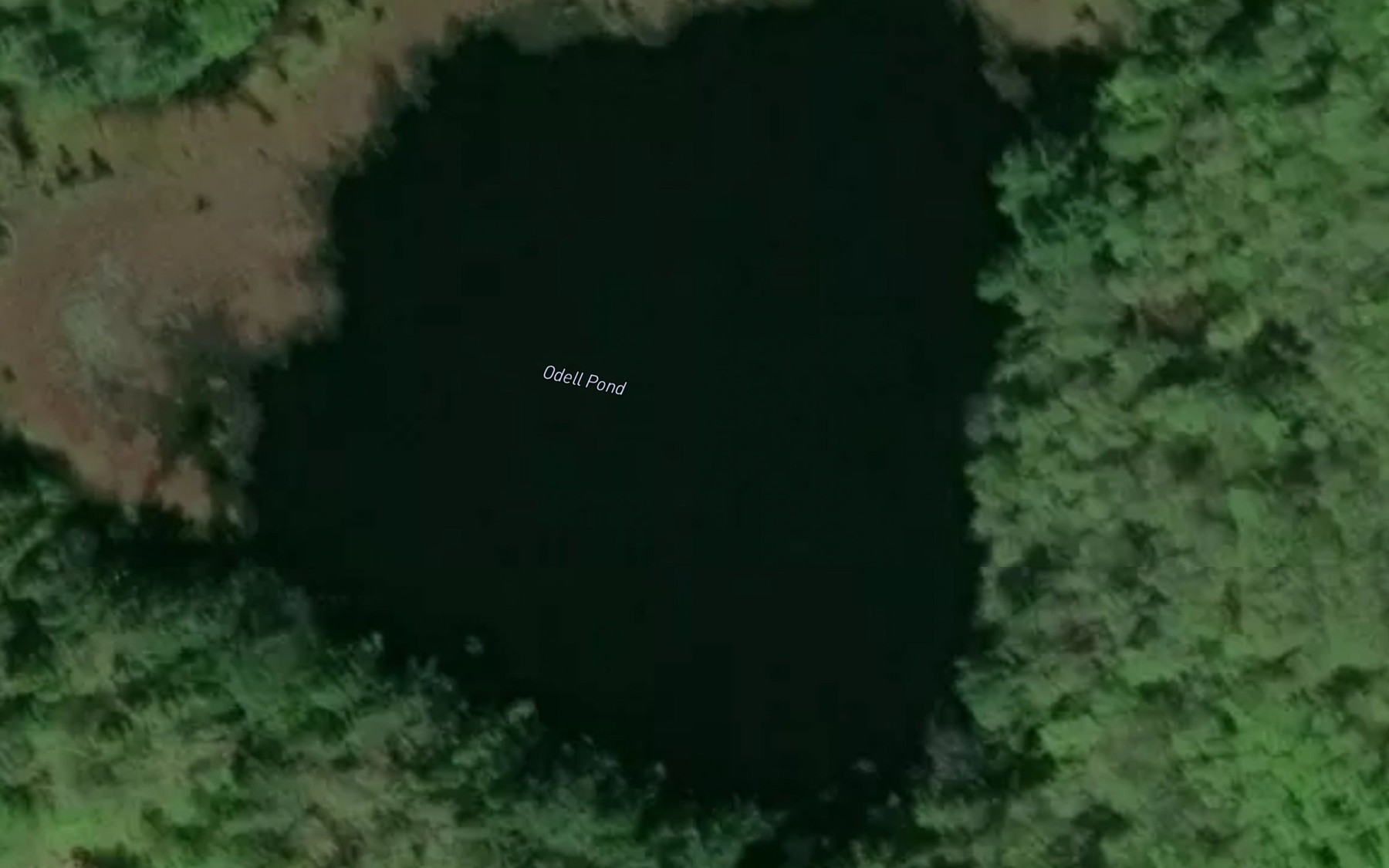 Satellite map of the Odell Pond