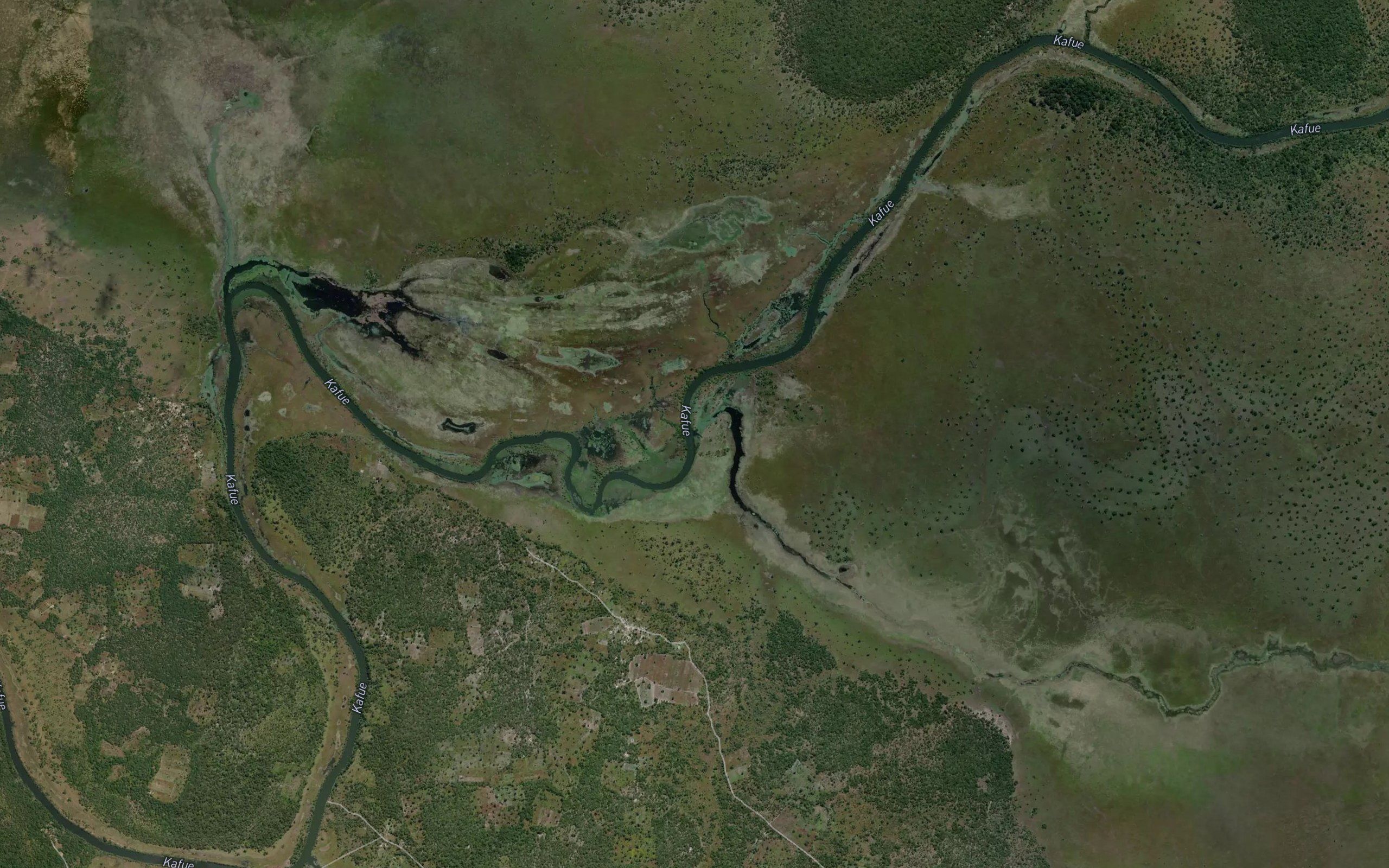 Chisangwa